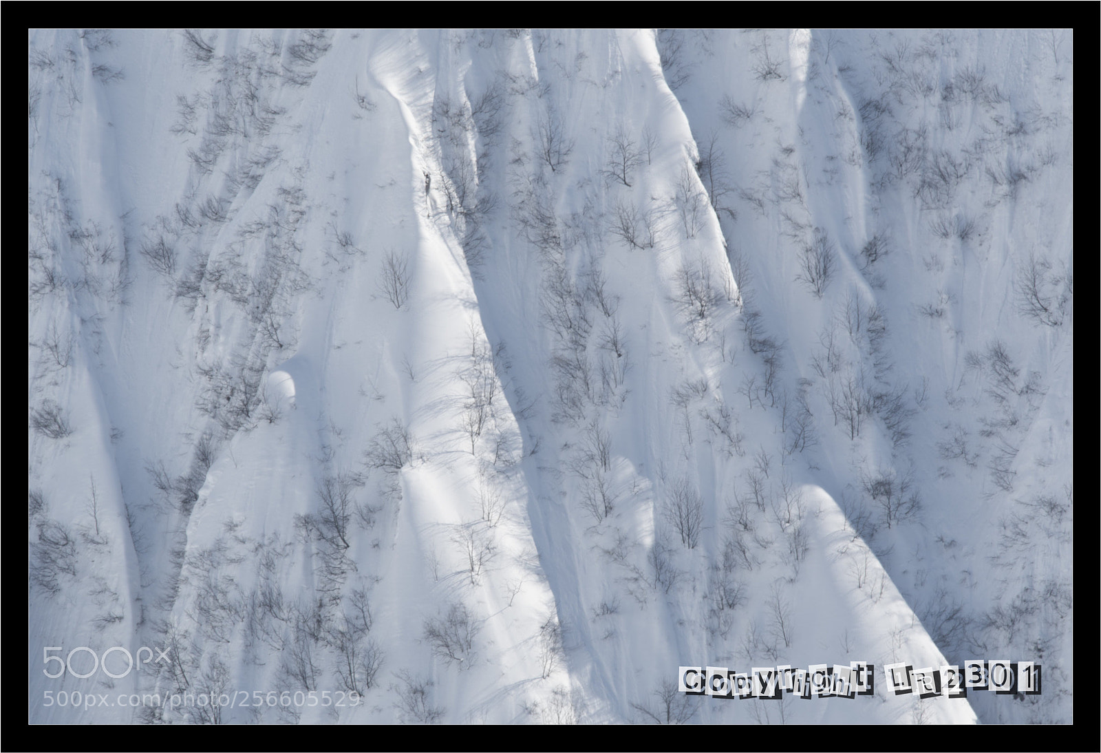 Nikon D500 sample photo. Alpes photography
