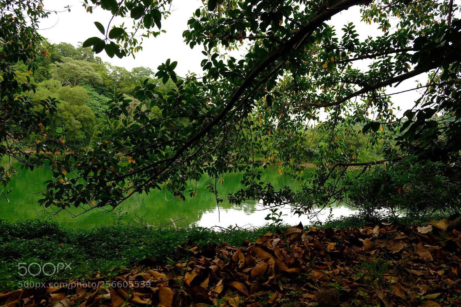 Fujifilm X-E3 sample photo. Lake side sunset photography