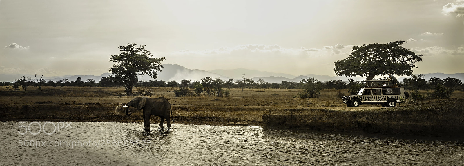 Nikon D7000 sample photo. Tanzania waterhole photography