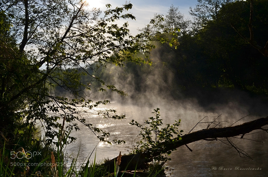 Nikon D5100 sample photo. Morning on the drw photography