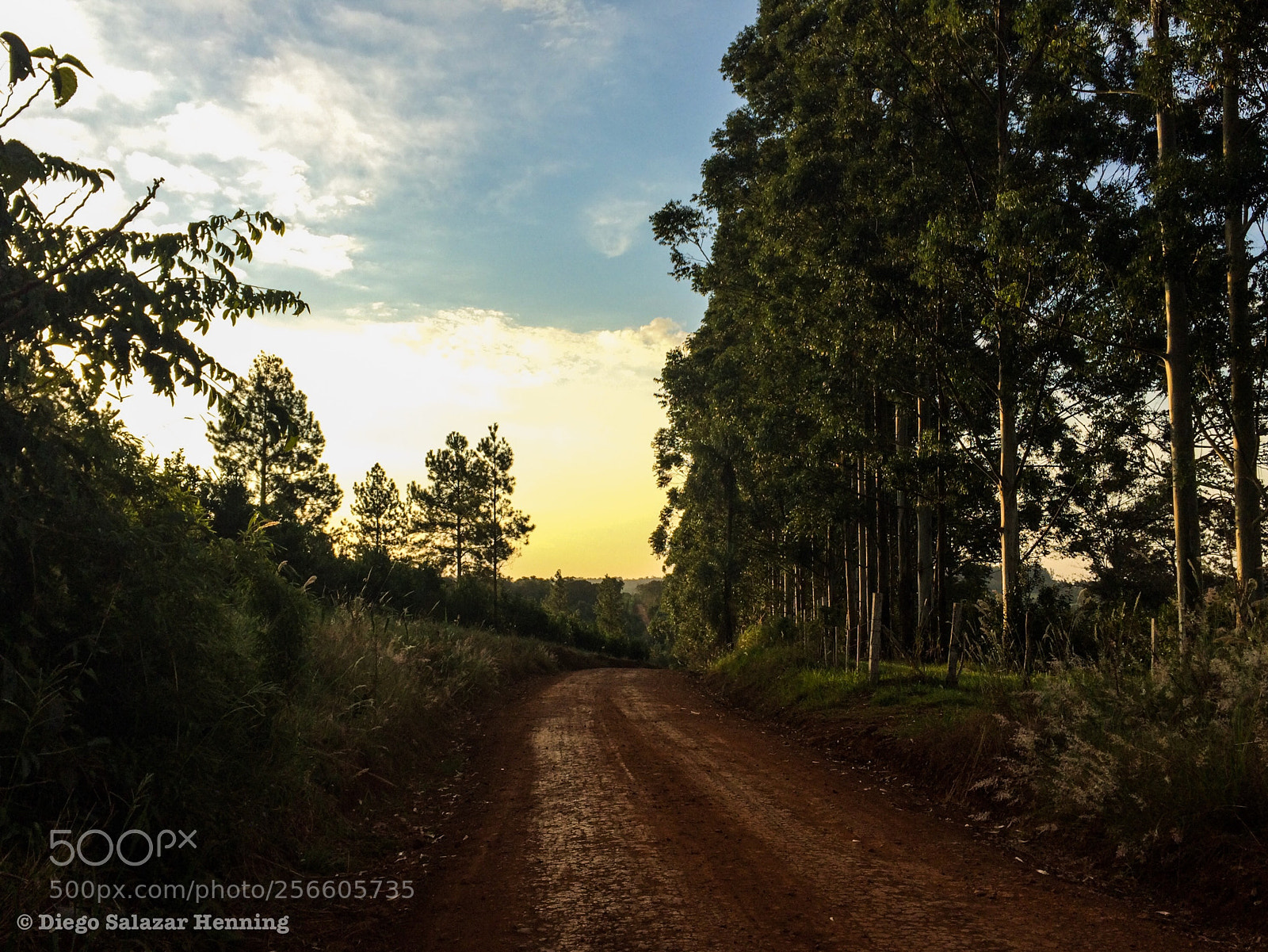 Apple iPhone 5s sample photo. Tierra colorada photography