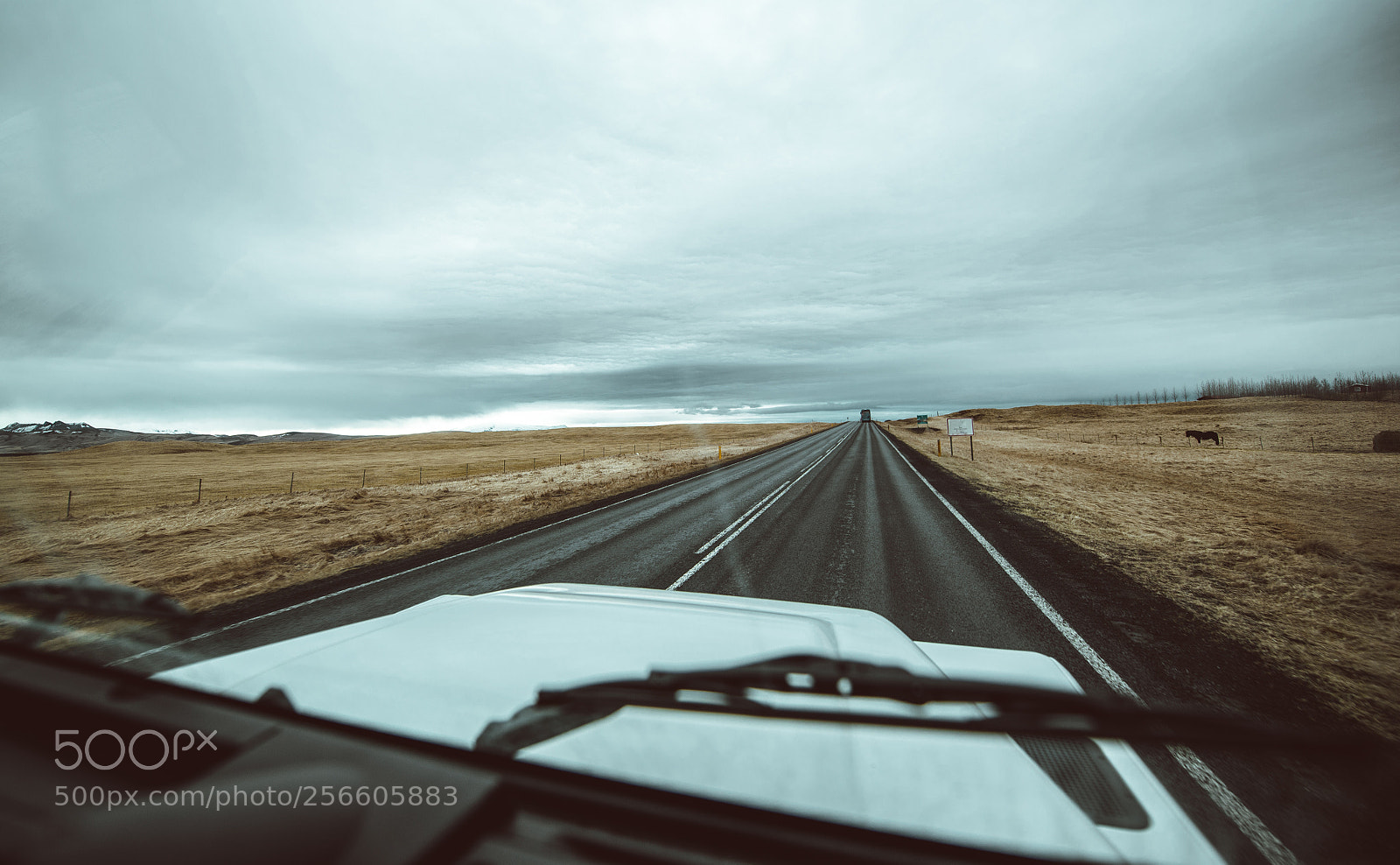 Nikon D610 sample photo. Driving on the icelandic photography