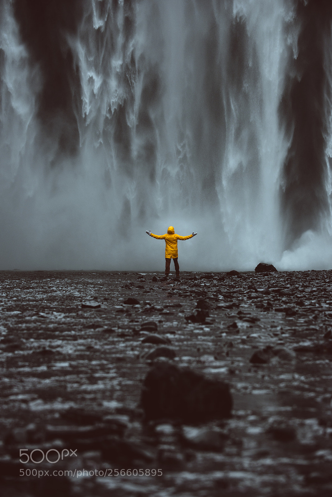 Nikon D610 sample photo. Explorer on the icelandic photography