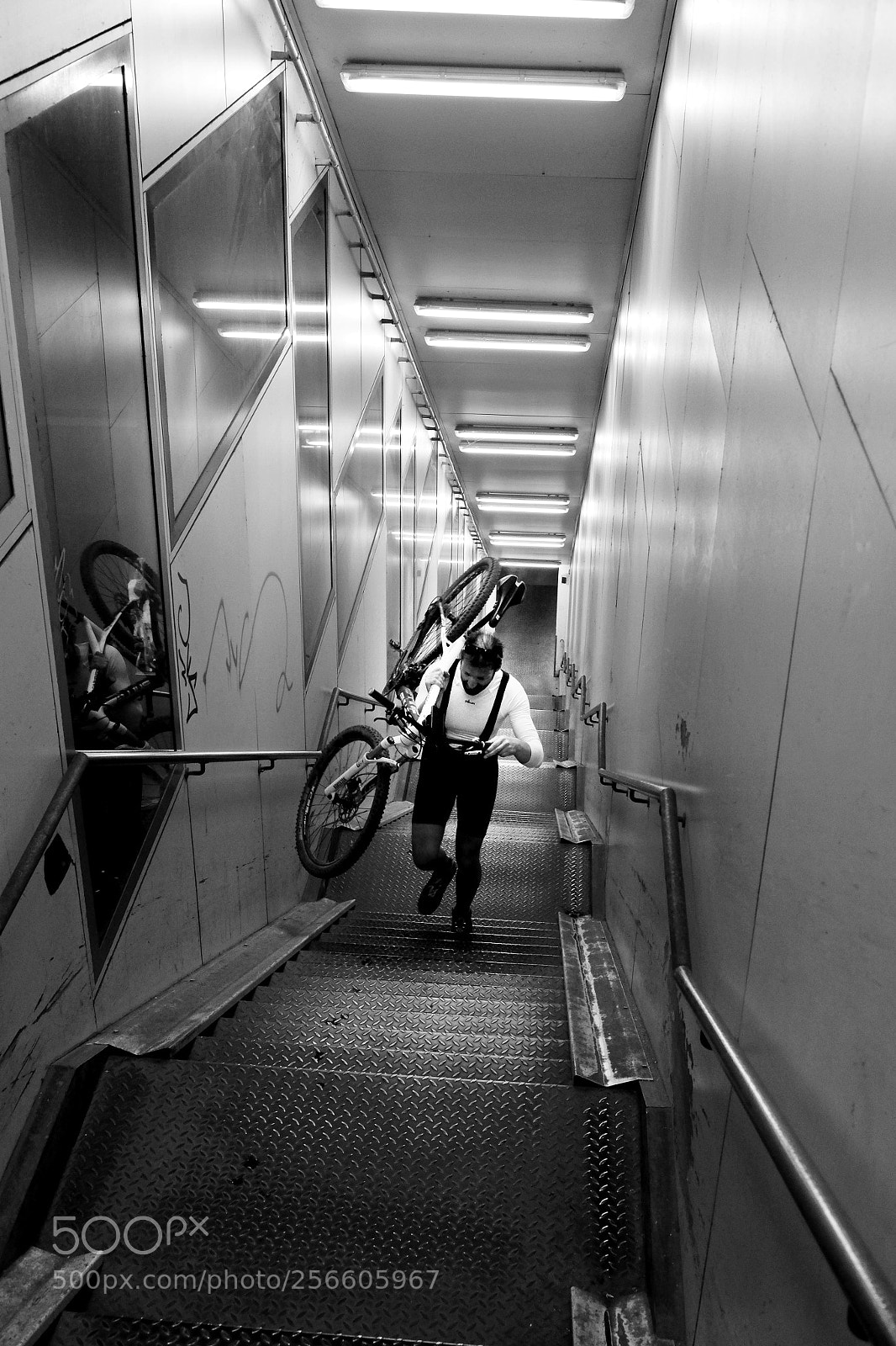Fujifilm X-T10 sample photo. Brave photography