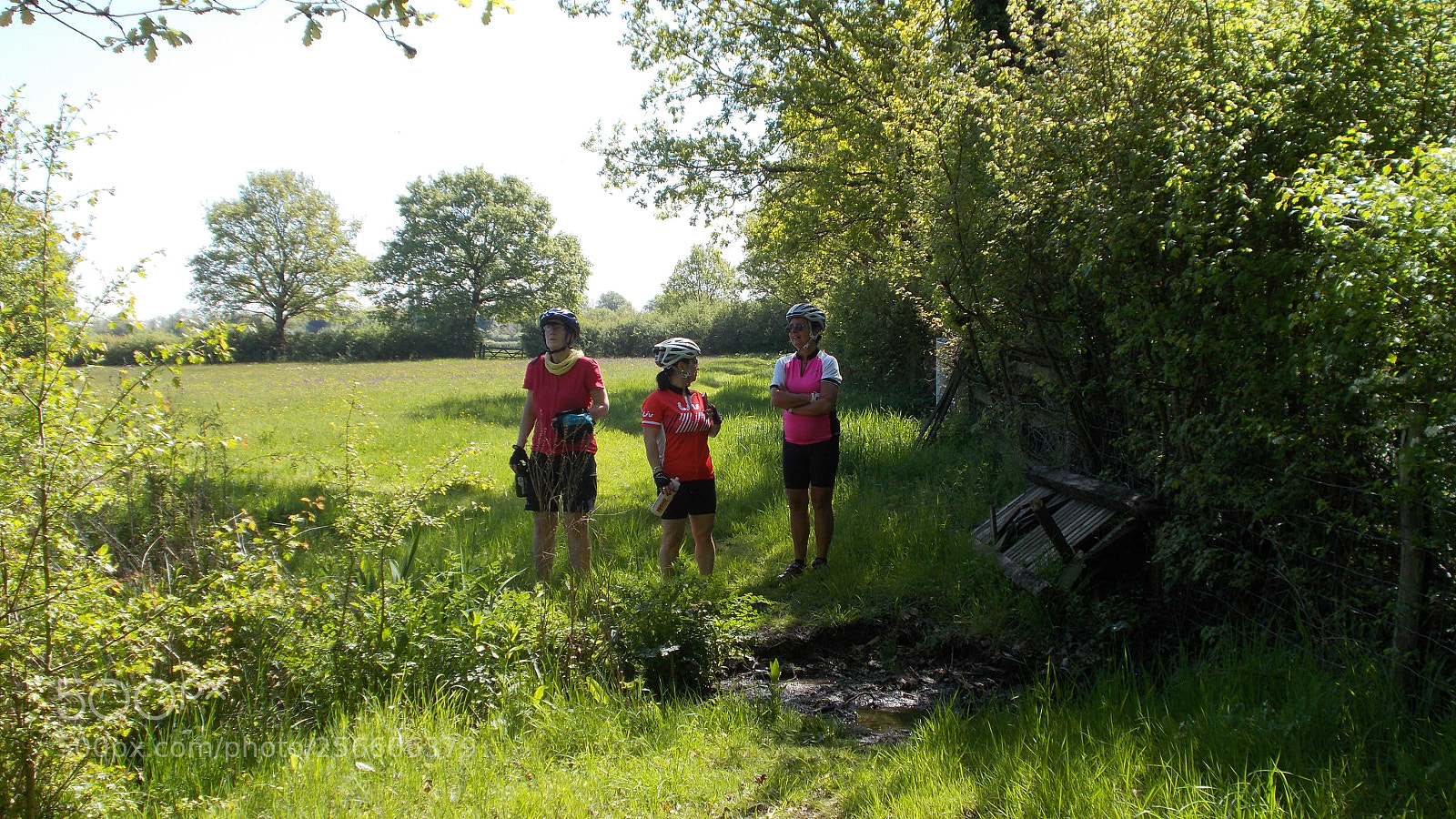 Nikon Coolpix L31 sample photo. Cyclists go for a photography