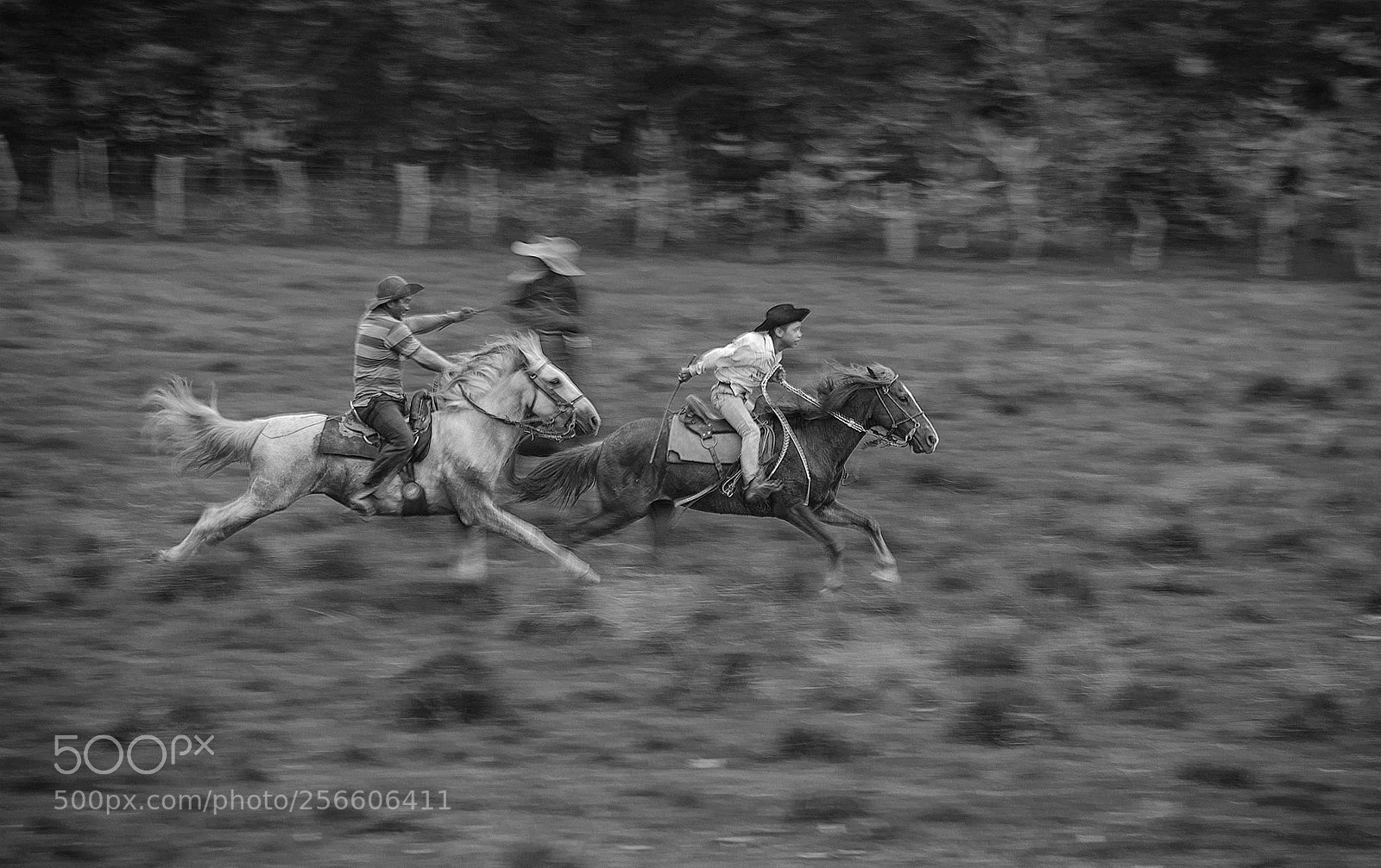 Nikon D750 sample photo. Llano en movimiento photography