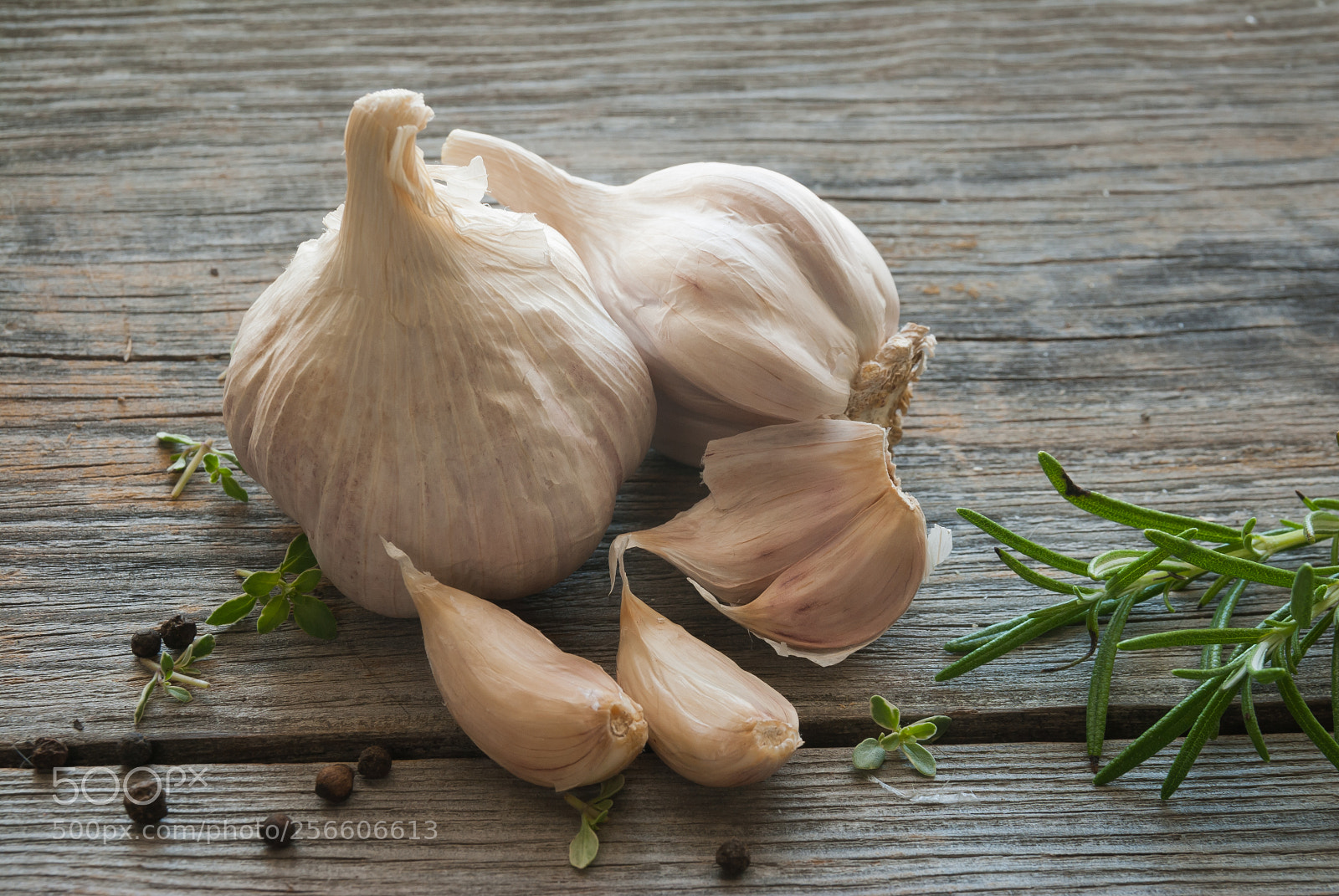 Nikon D200 sample photo. Garlic head on a photography
