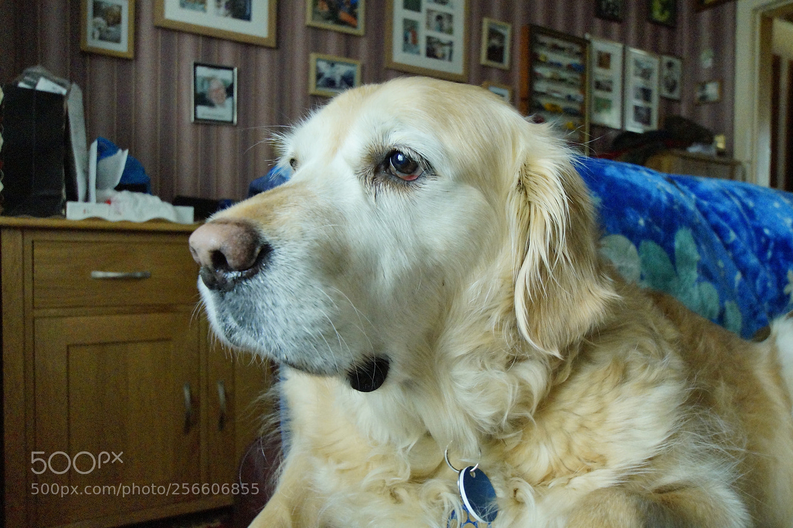 Sony SLT-A58 sample photo. The boys photography