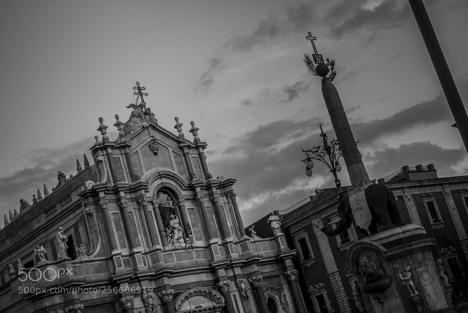 Nikon D3000 sample photo. Saint agatha photography