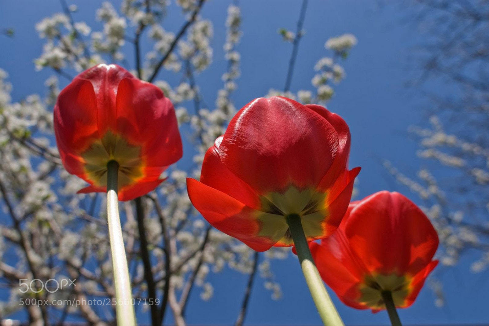 Nikon D80 sample photo. Untitled photography