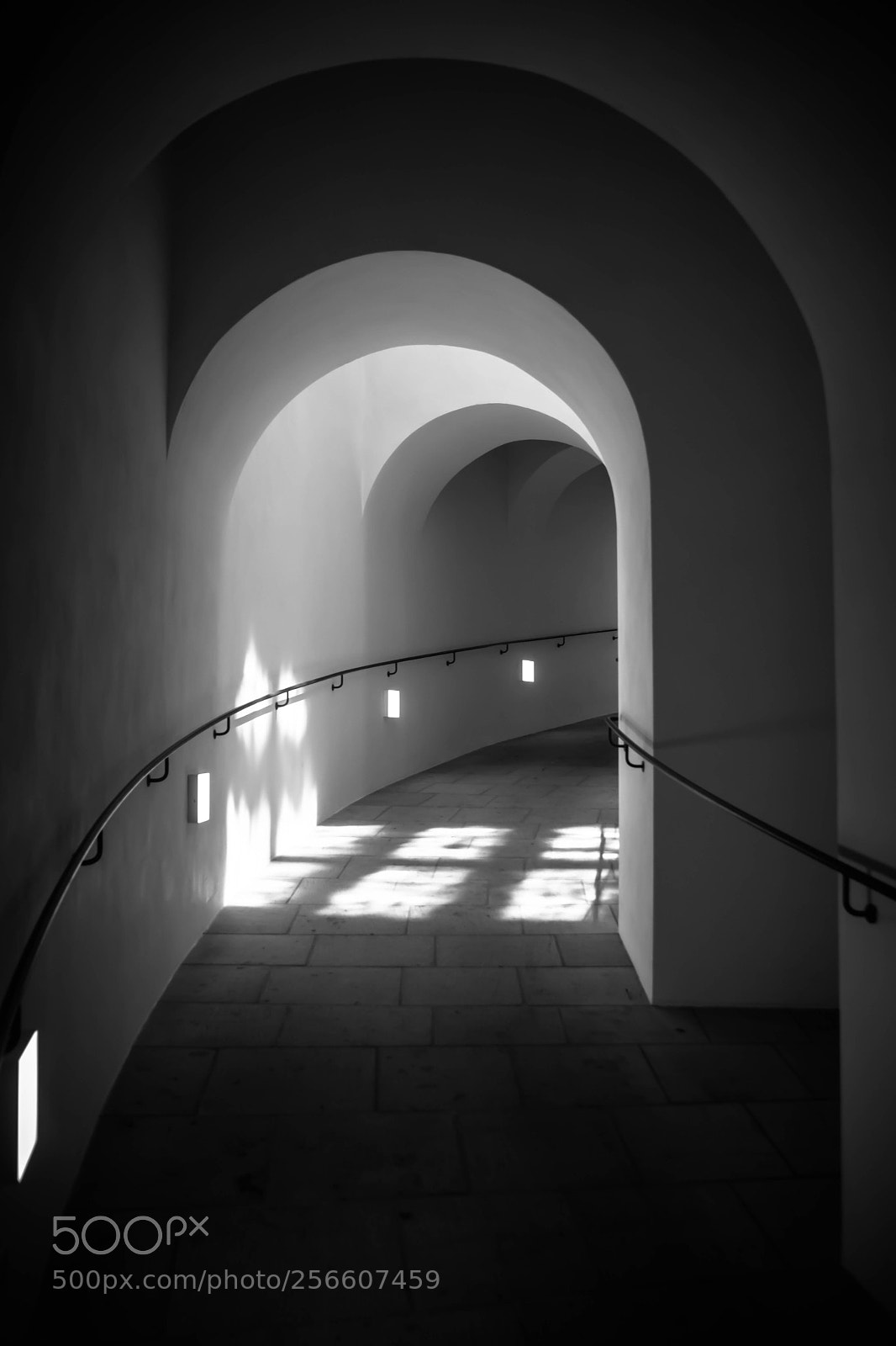 Sony SLT-A68 sample photo. Soft light photography
