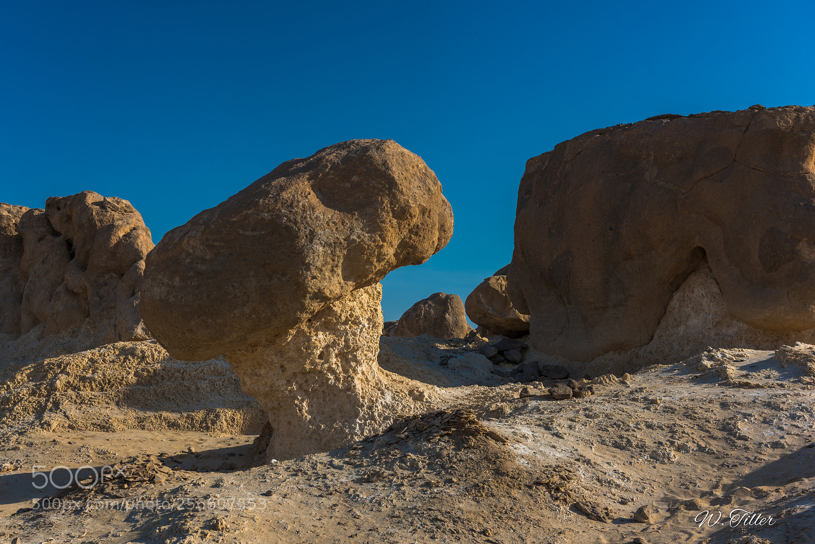 Nikon D810 sample photo. Felsenpark bei al duqm photography