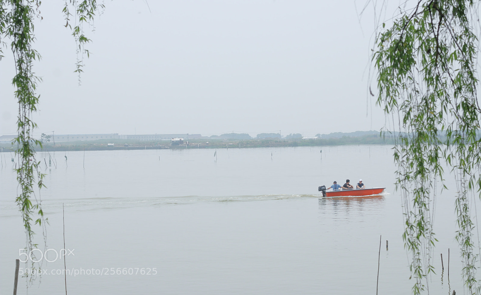 Canon EOS 70D + Canon EF 50mm F1.8 STM sample photo. 周庄白蚬湖 photography
