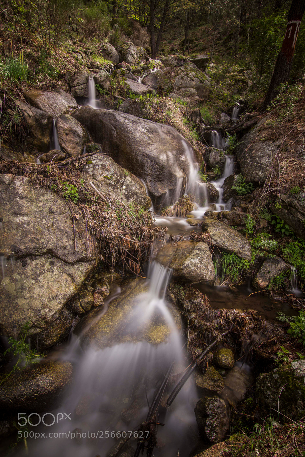 Canon EOS 60D sample photo. Waterfall photography