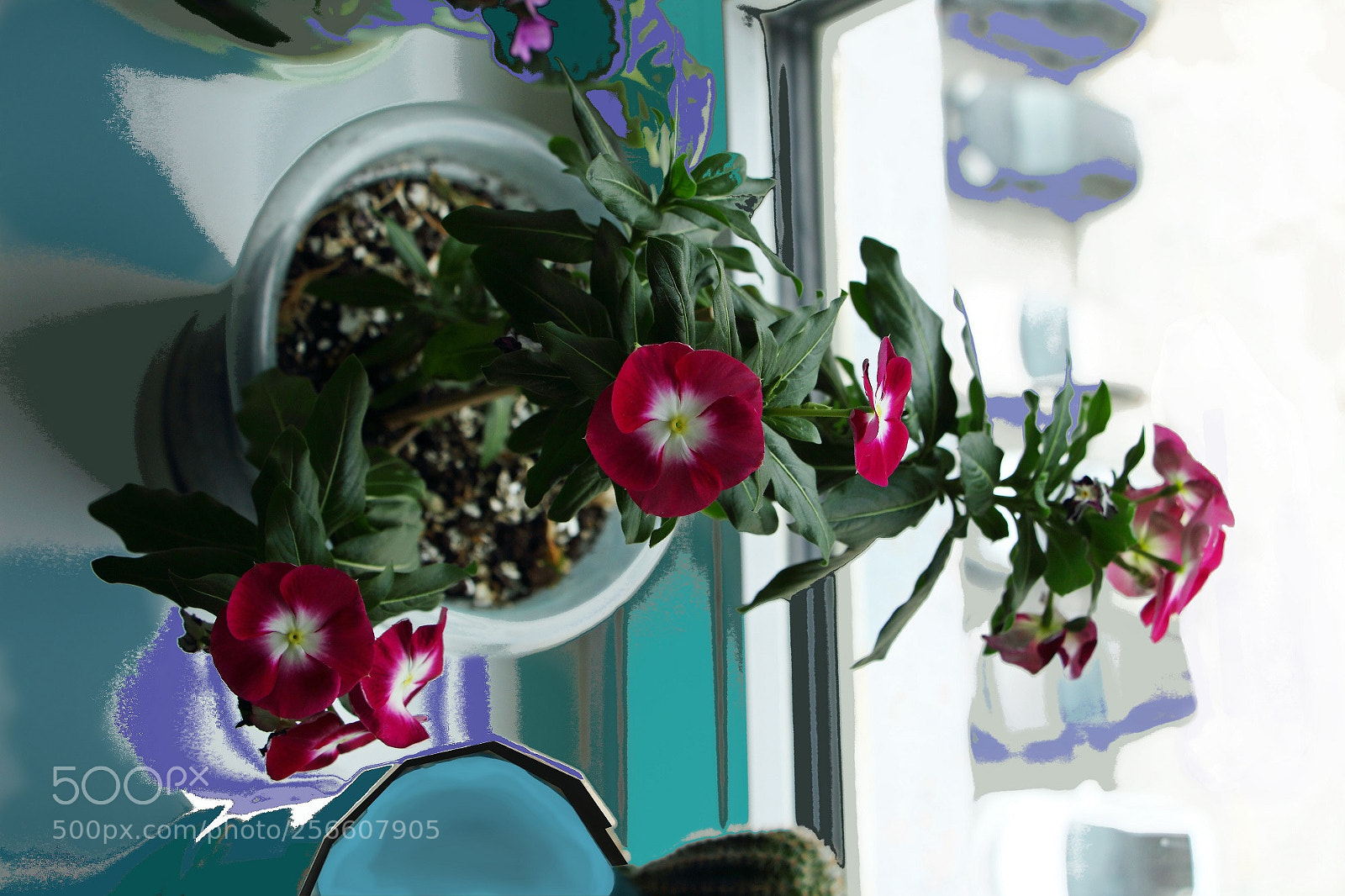 Canon EOS 650D (EOS Rebel T4i / EOS Kiss X6i) sample photo. Точка зрения photography