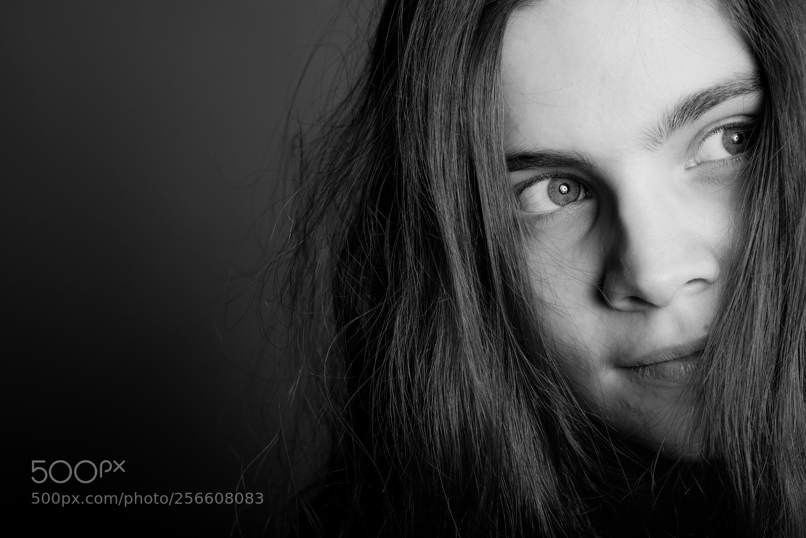 Nikon D750 sample photo. A photography