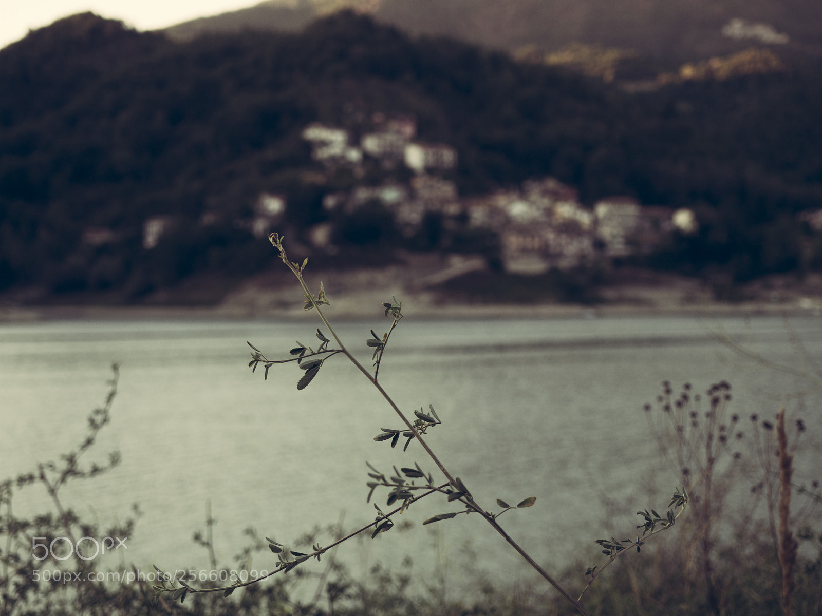 Olympus OM-D E-M10 II sample photo. Lago del salto - 2 photography