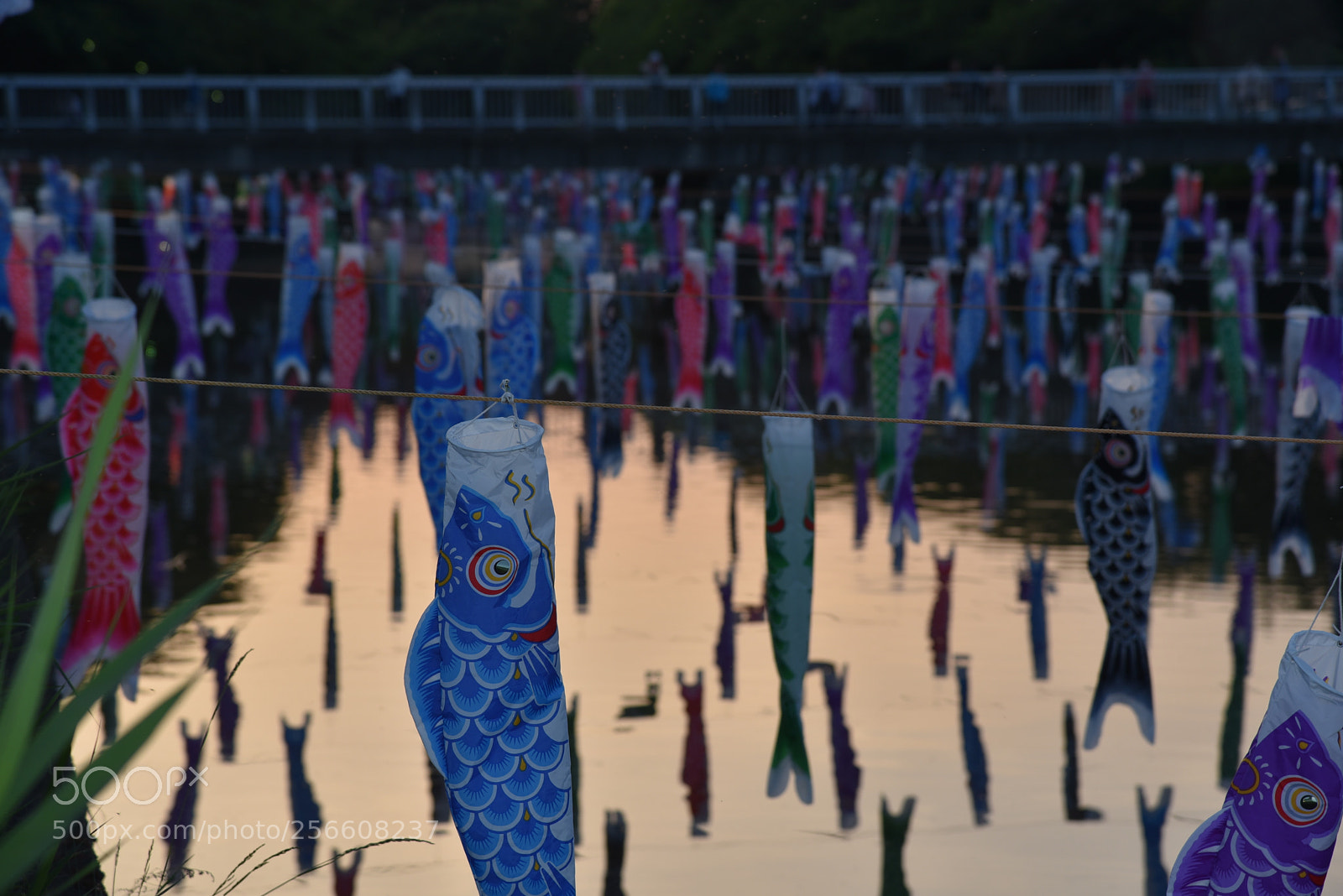 Nikon AF-S Nikkor 24-120mm F4G ED VR sample photo. Carp streamer koinobori 3 photography