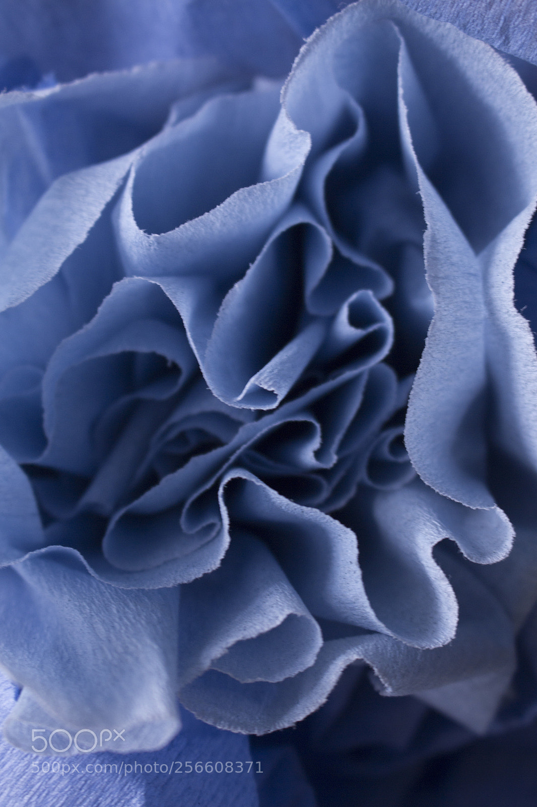 Canon EOS 650D (EOS Rebel T4i / EOS Kiss X6i) sample photo. Blue paper flower photography