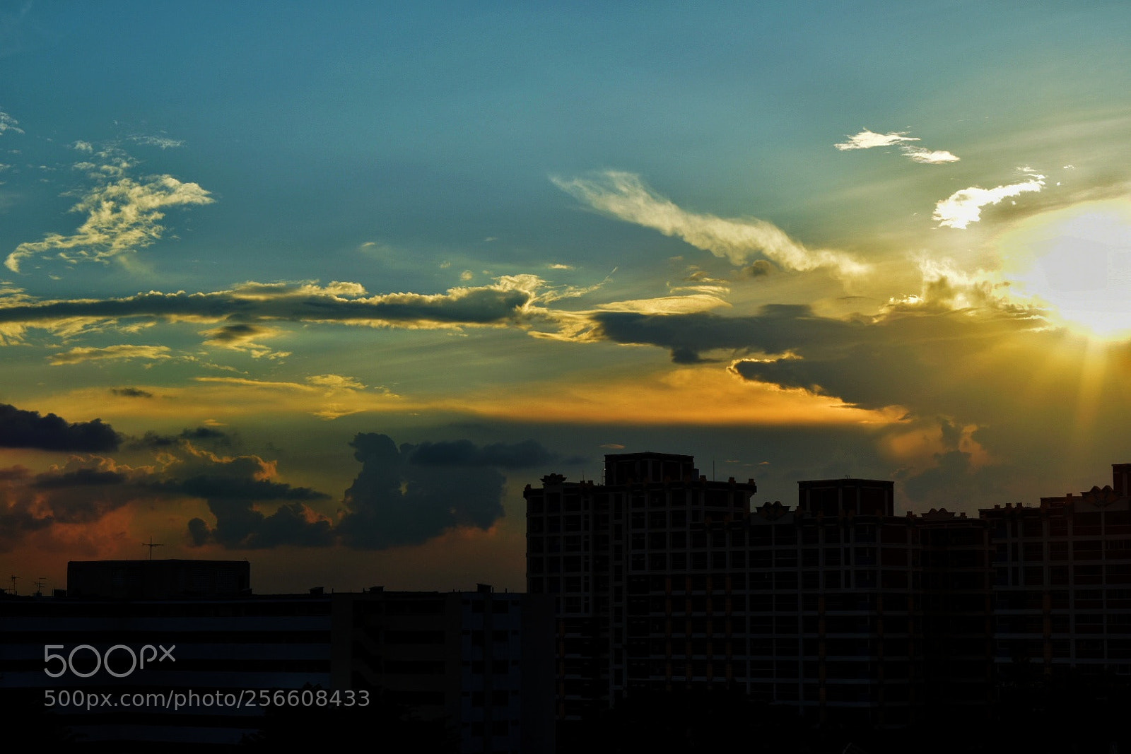 Nikon D5500 sample photo. Golden hour photography