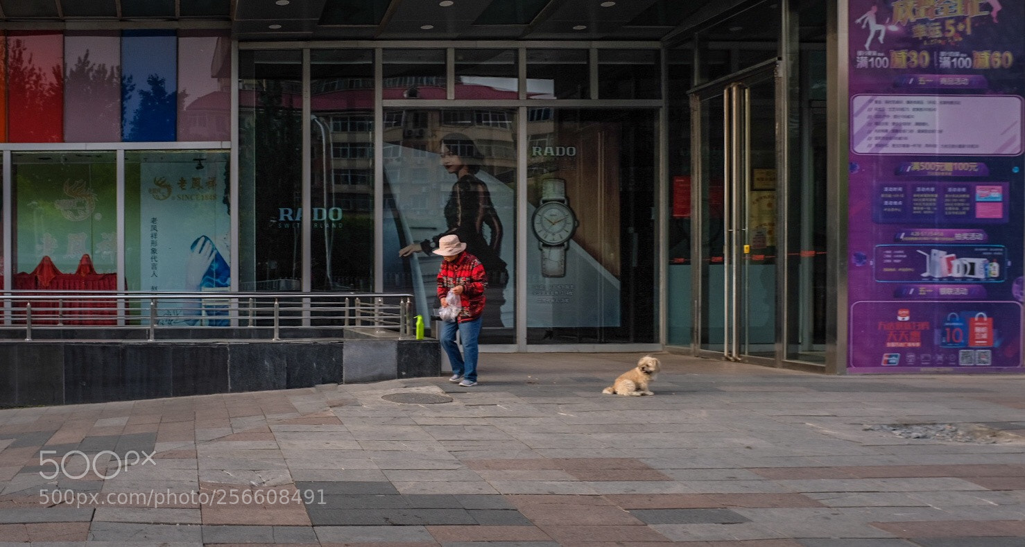 Fujifilm X100F sample photo. Untitled photography