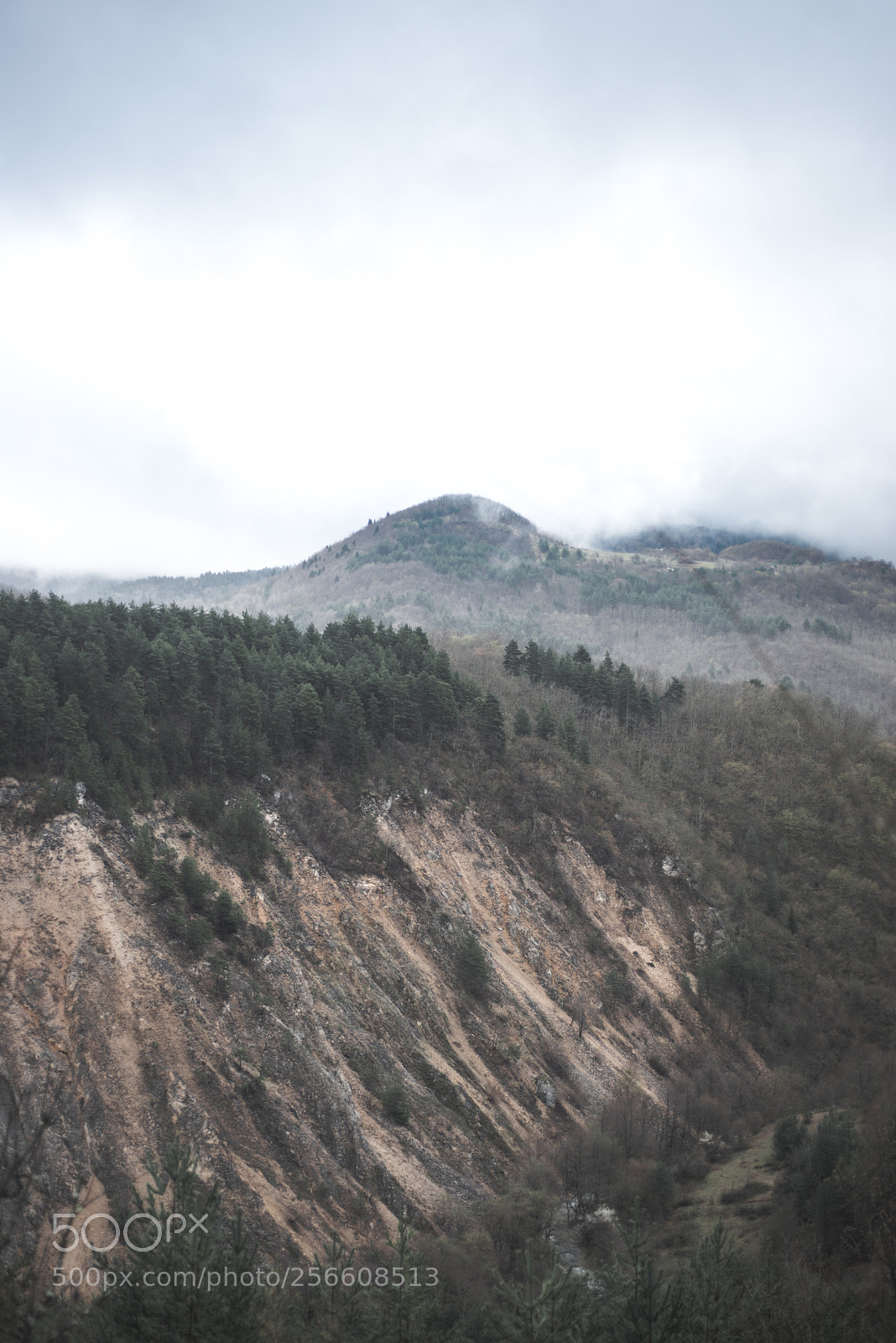 Nikon D800 sample photo. Mountains in fog photography