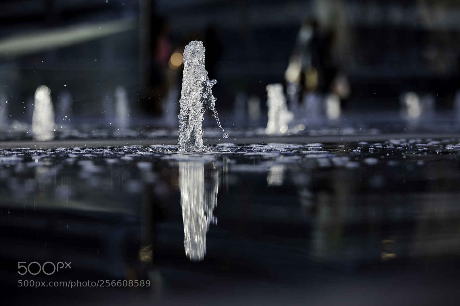 Canon EOS 5D Mark IV sample photo. The shape of water photography