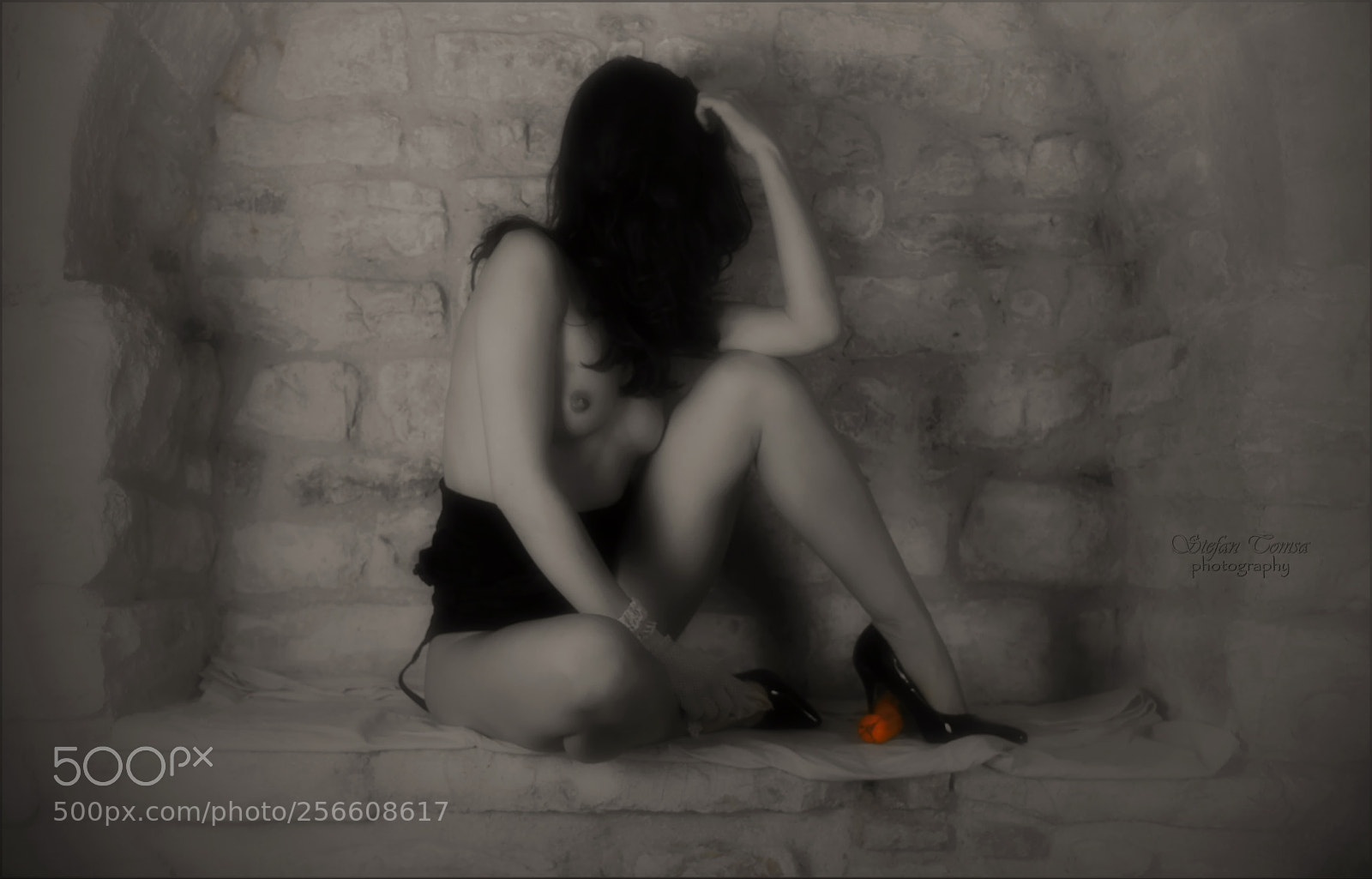 Nikon D5500 sample photo. Dreaming orange photography