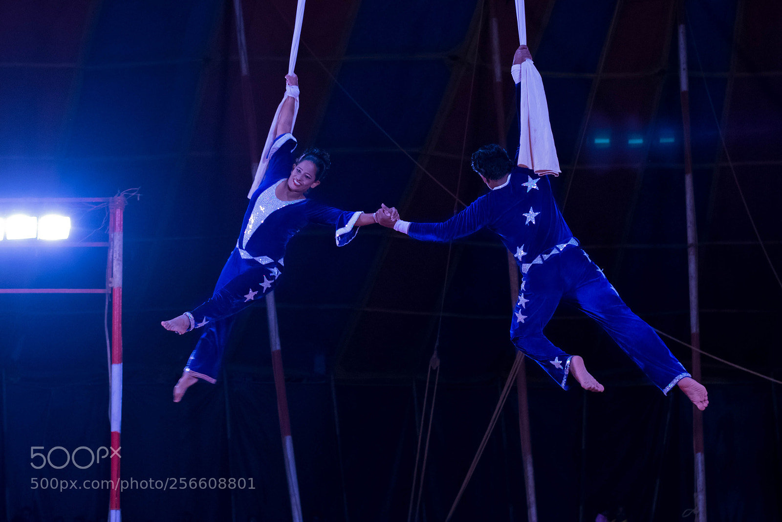 Nikon D5300 sample photo. Dancing in the air... photography