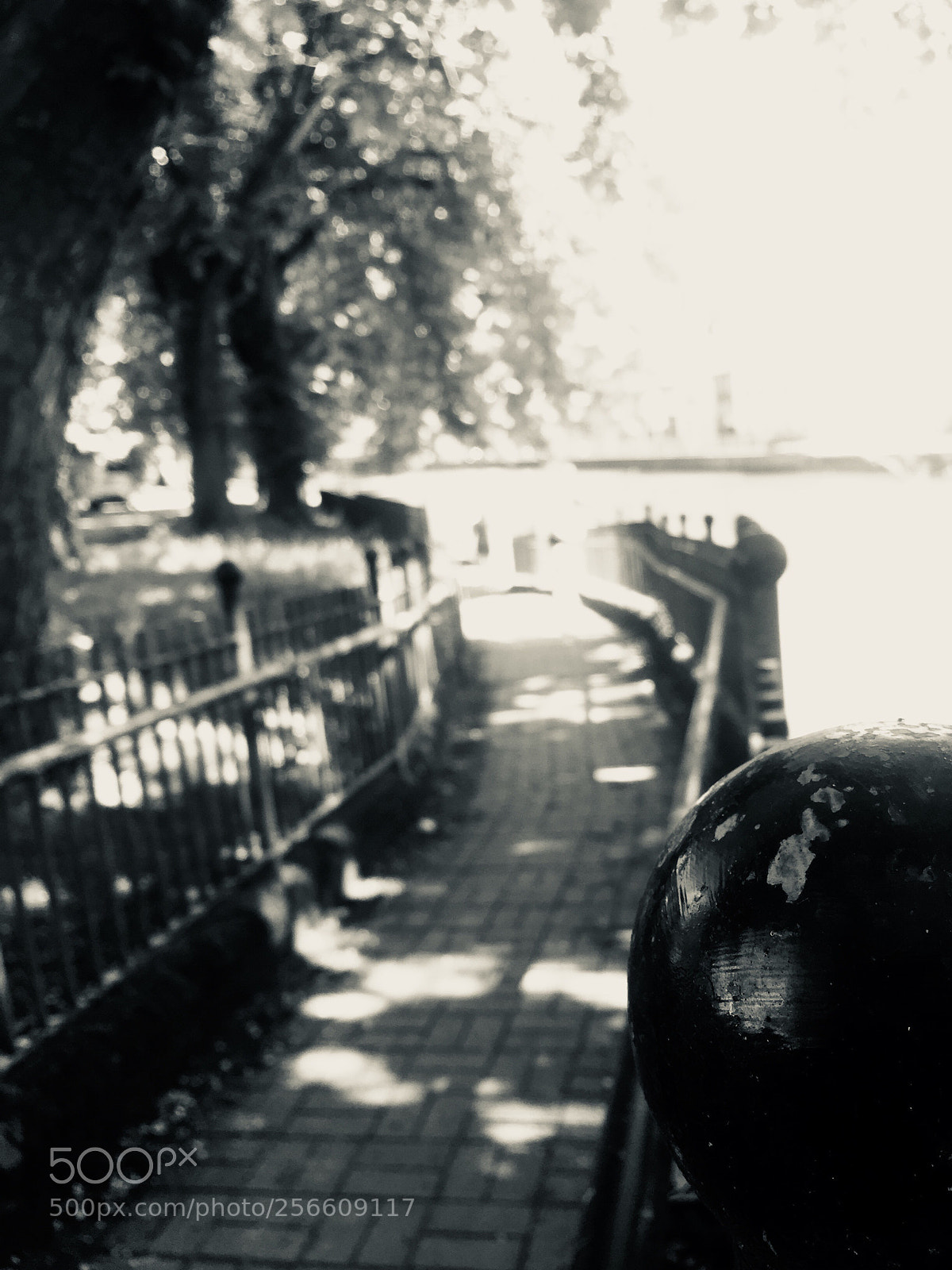 Apple iPhone 6 sample photo. Untitled photography