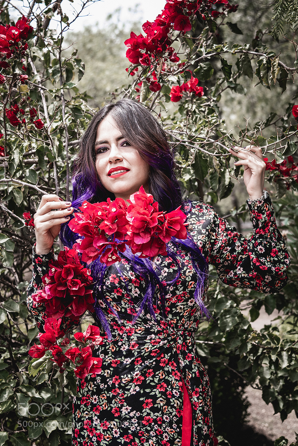 Nikon D810 sample photo. Between flowers photography