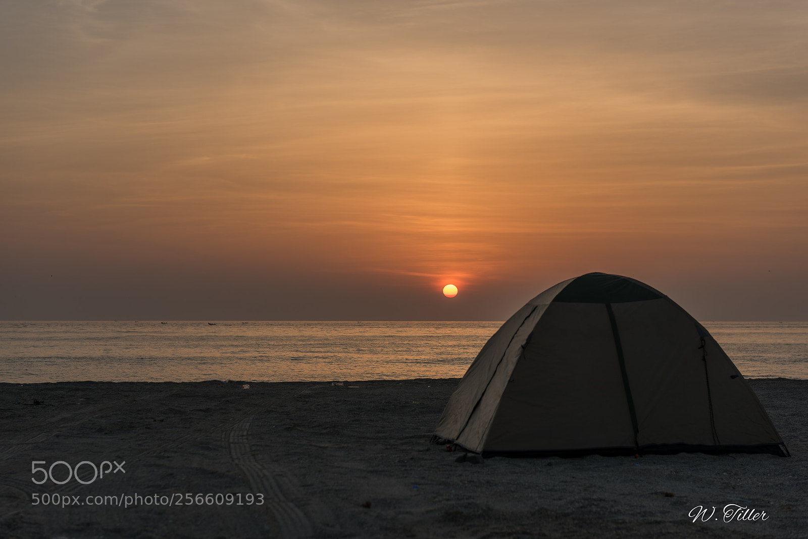 Nikon D810 sample photo. Insel masirah photography