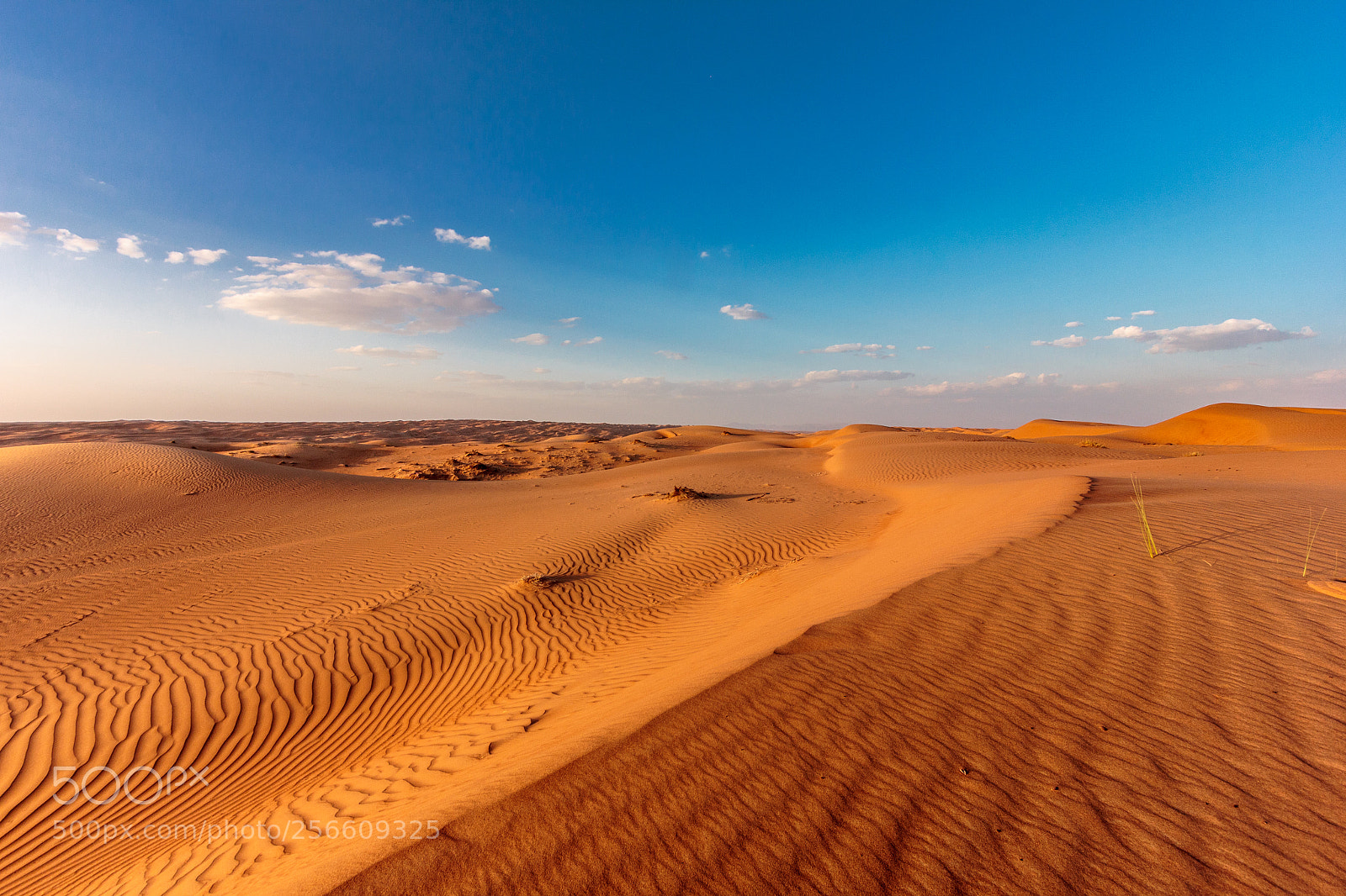 Canon EOS 550D (EOS Rebel T2i / EOS Kiss X4) sample photo. Omani desert photography