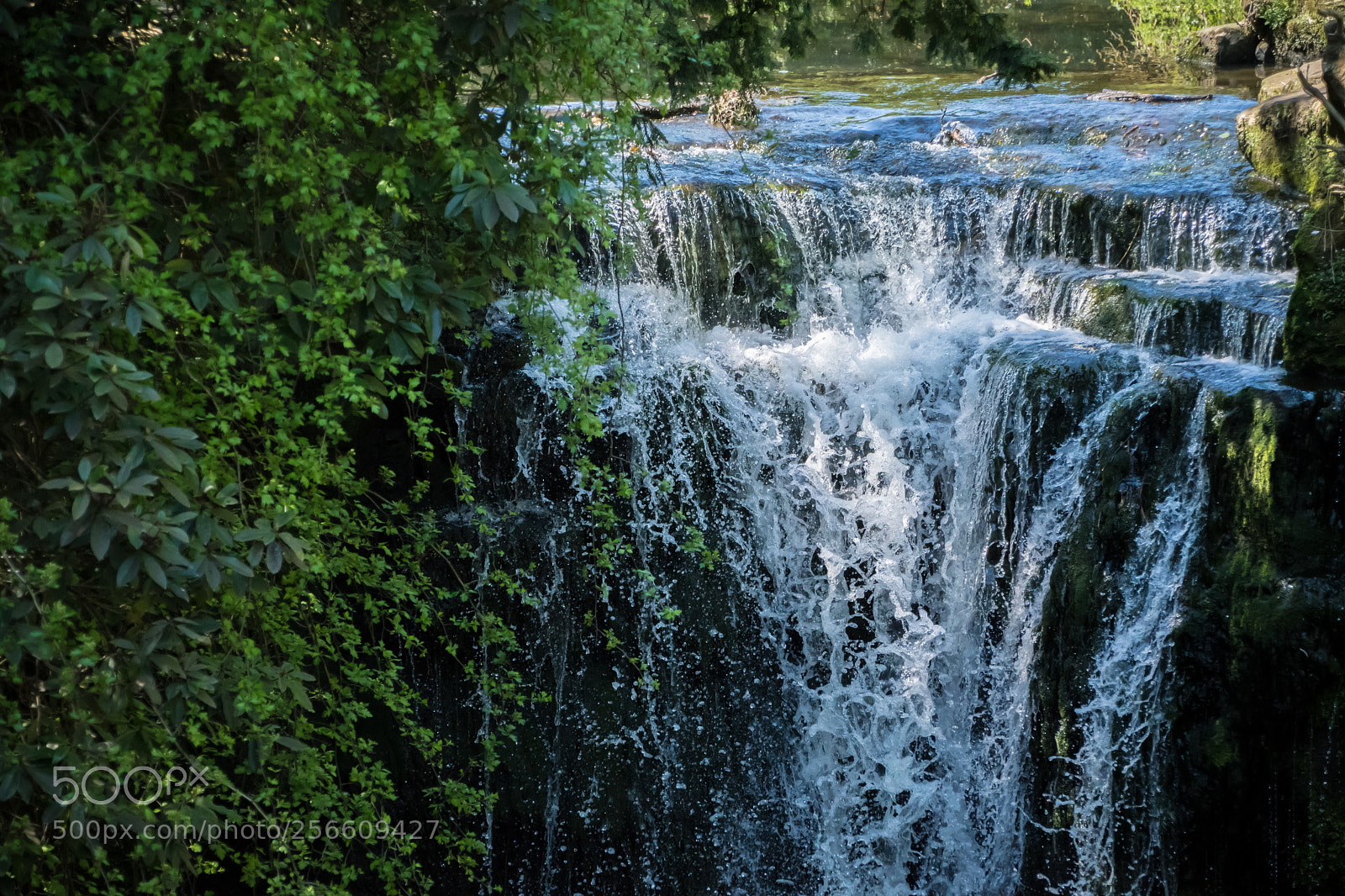 Nikon D500 sample photo. Waterfall deep in the photography