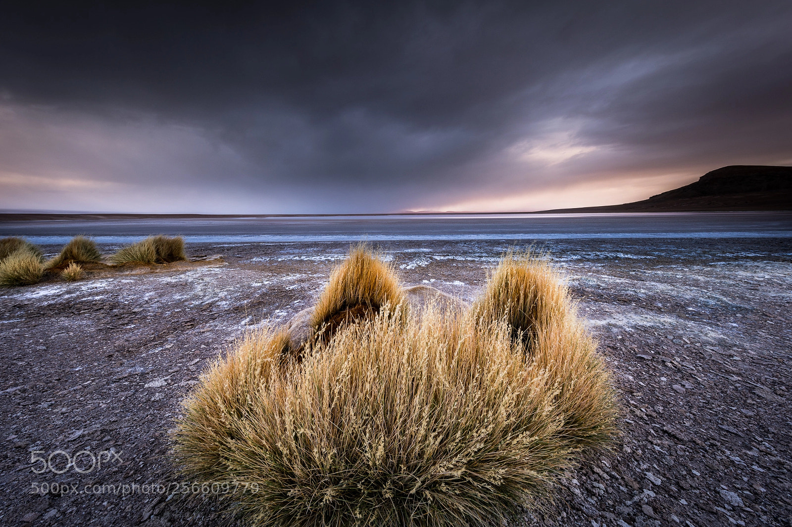 Canon EOS 5D Mark IV sample photo. Chile, atacama - salar photography