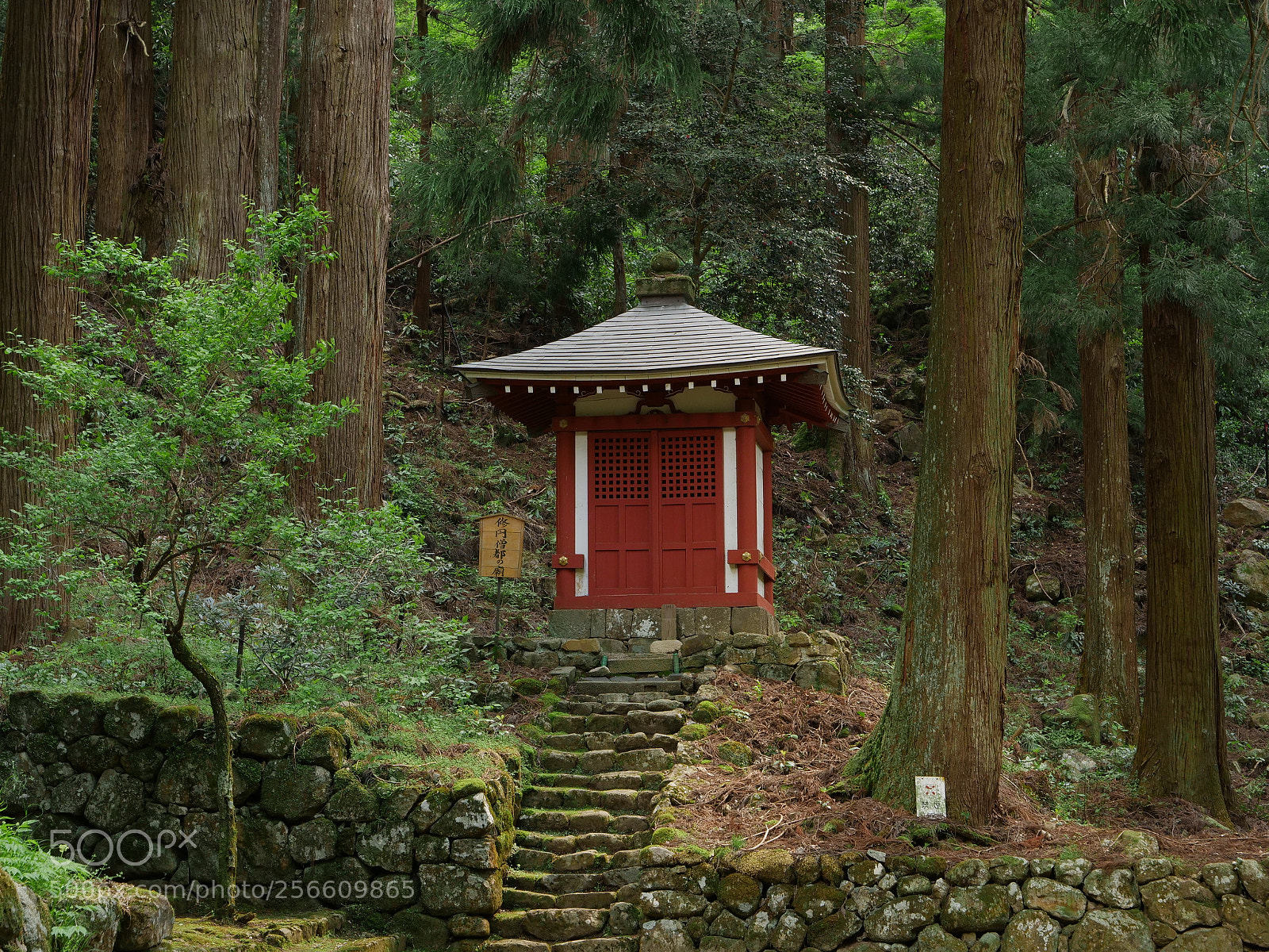 Panasonic Lumix DC-GH5 sample photo. Small hall in the photography