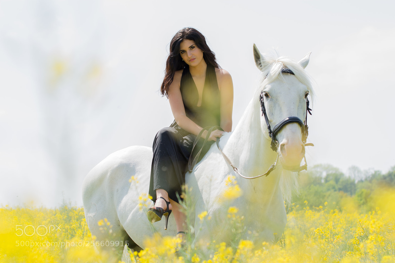 Nikon D7200 sample photo. Barbara et impérial photography