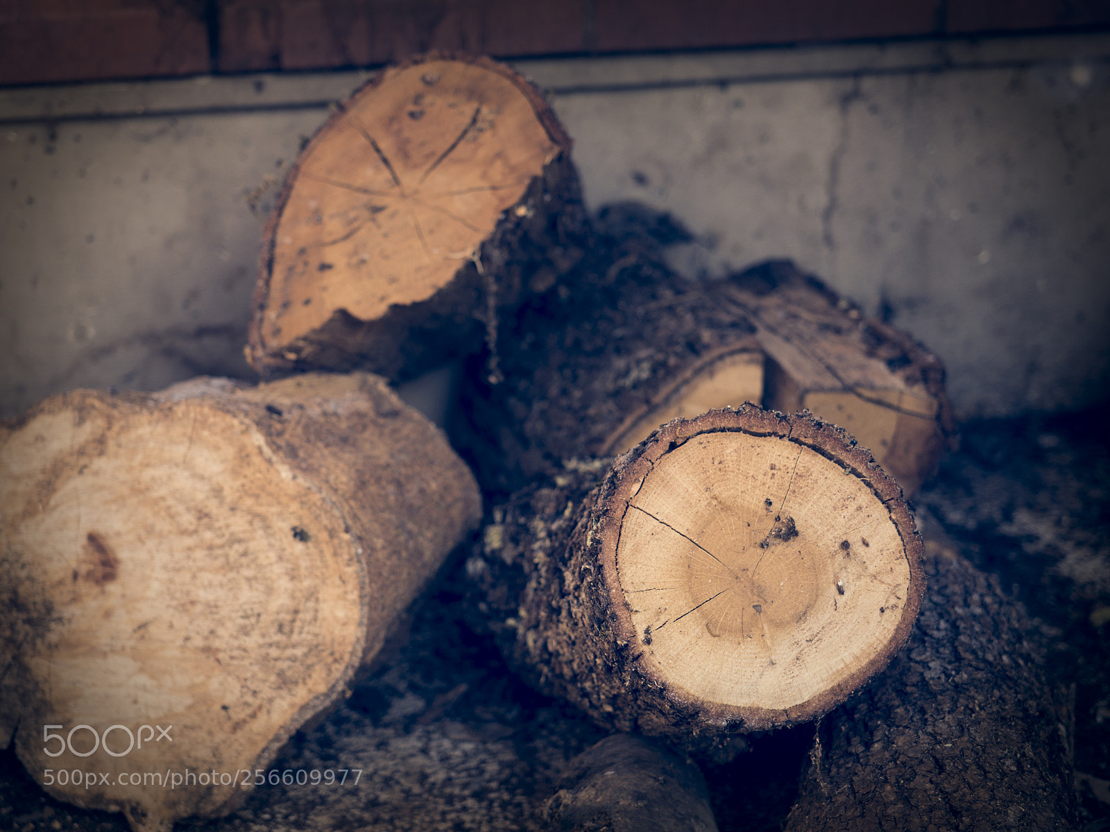 Olympus OM-D E-M10 II sample photo. Chopped wood photography