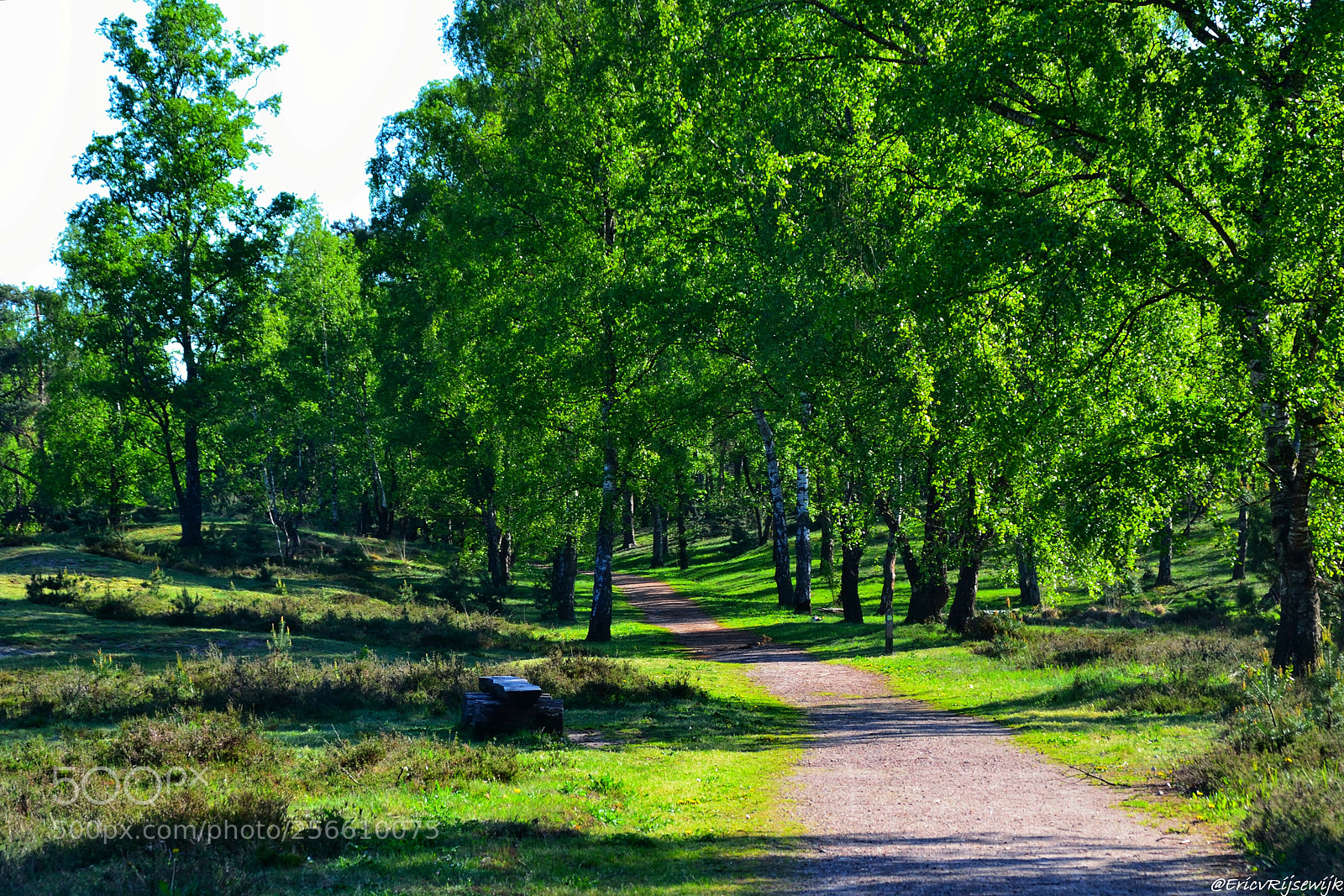 Nikon D3100 sample photo. Kampina, boxtel photography