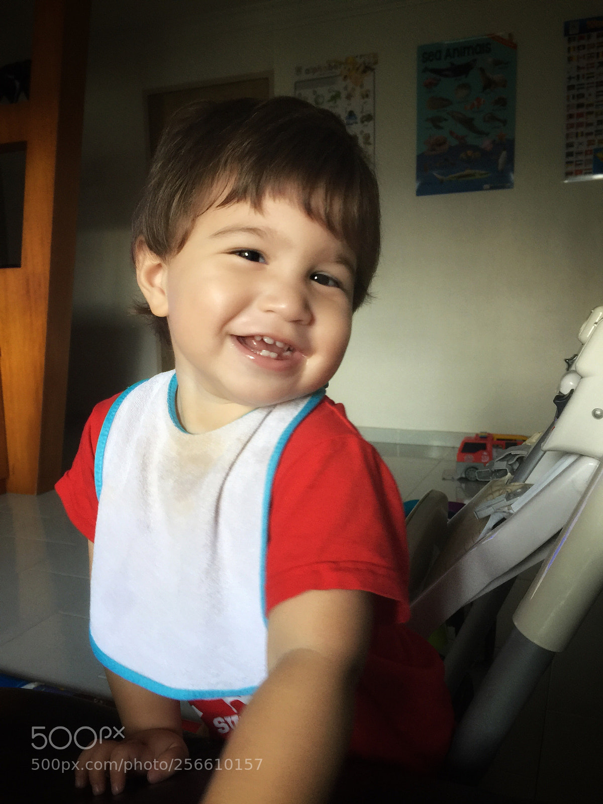 Apple iPhone 6 Plus sample photo. Strike a pose! photography