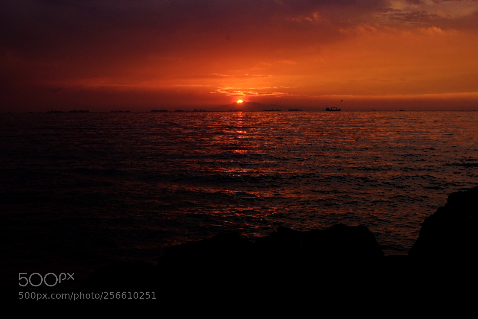 Fujifilm X-T20 sample photo. Blood red photography