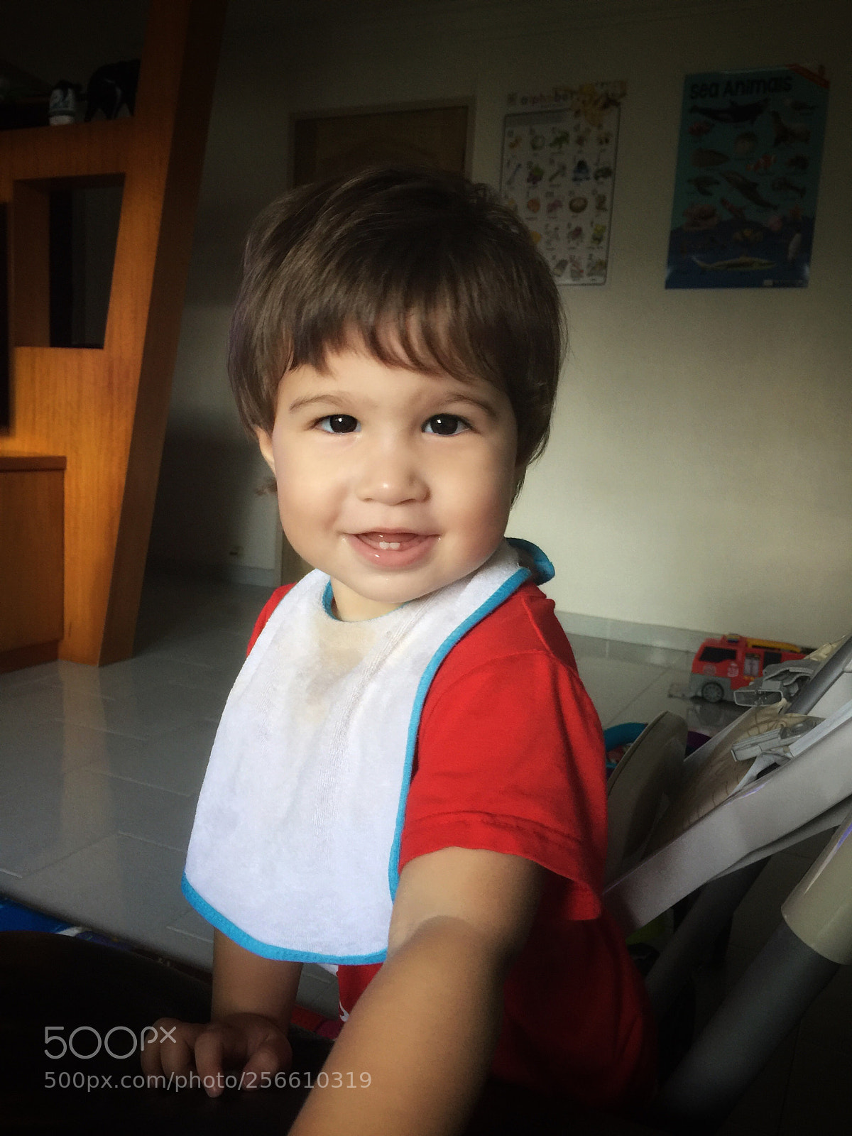 Apple iPhone 6 Plus sample photo. Strike a pose! photography
