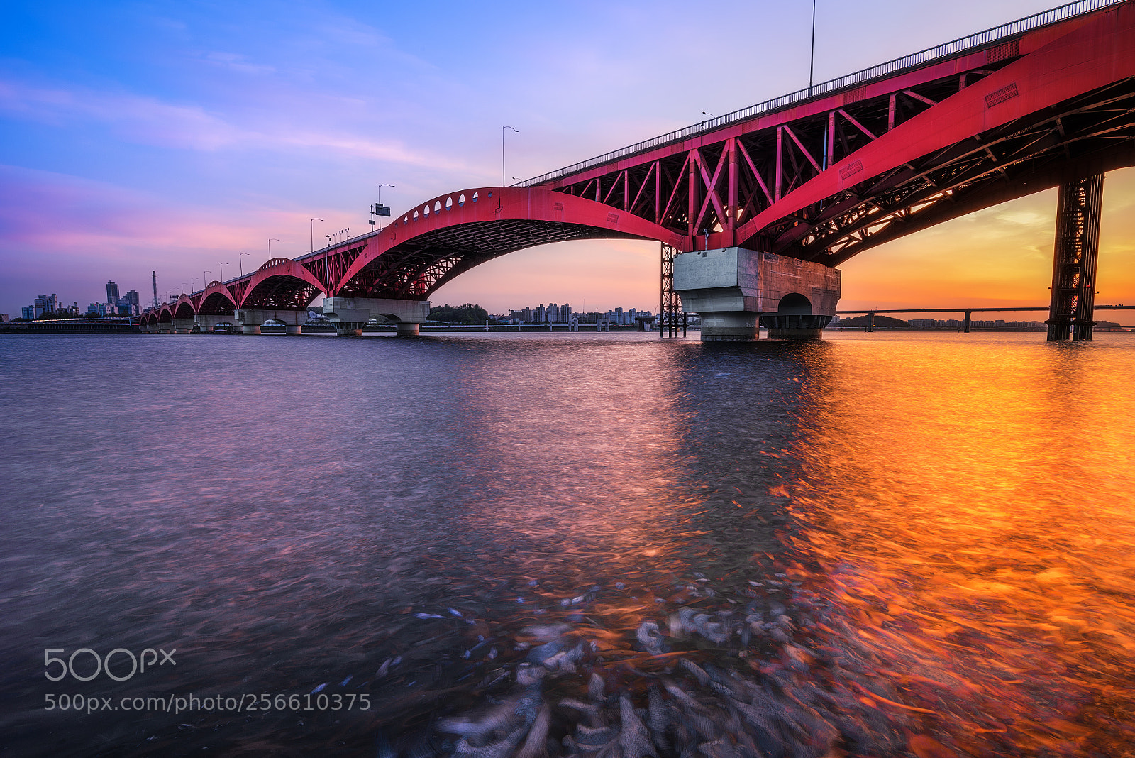 Nikon D810 sample photo. Bridge photography