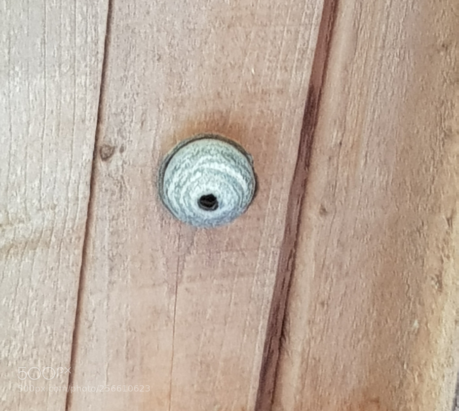 Samsung Galaxy S9+ sample photo. Untitled photography