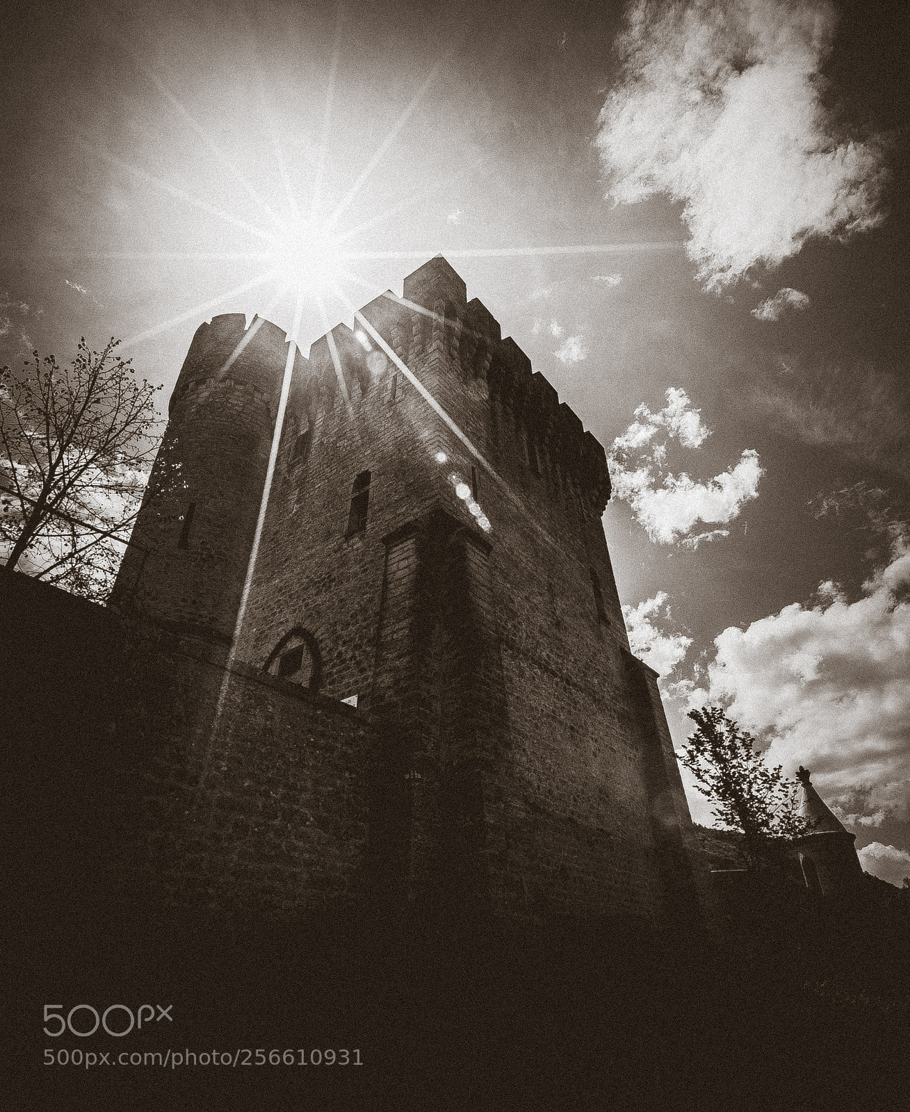 Canon EOS 6D sample photo. Château d'aulan photography
