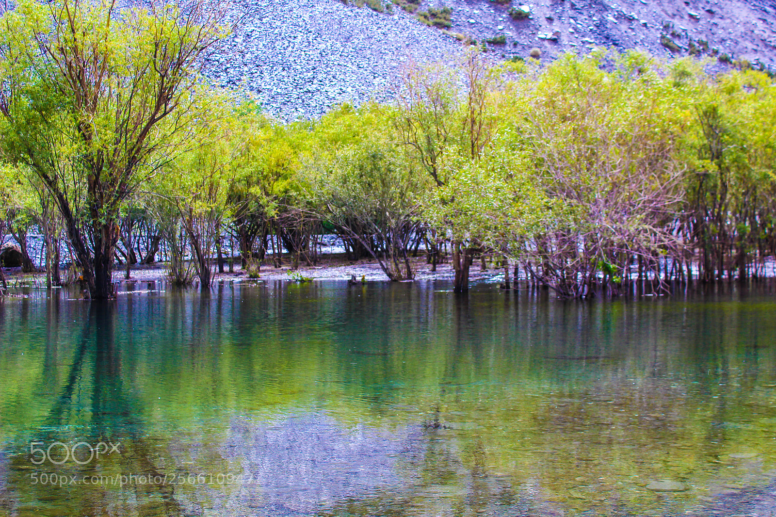 Canon EOS 1200D (EOS Rebel T5 / EOS Kiss X70 / EOS Hi) sample photo. Green trees and water photography