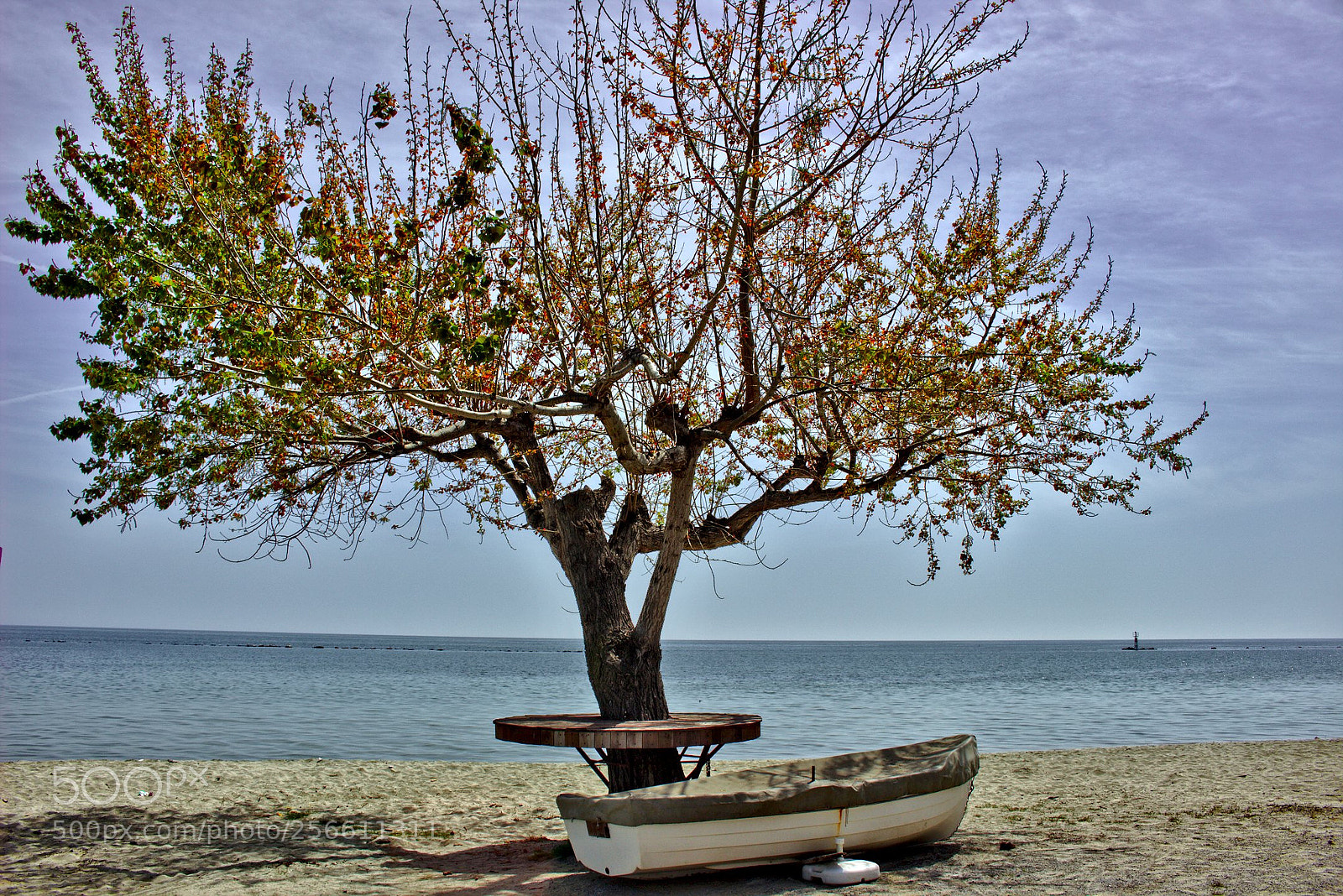 Canon EOS 100D (EOS Rebel SL1 / EOS Kiss X7) sample photo. Boat under the tree photography