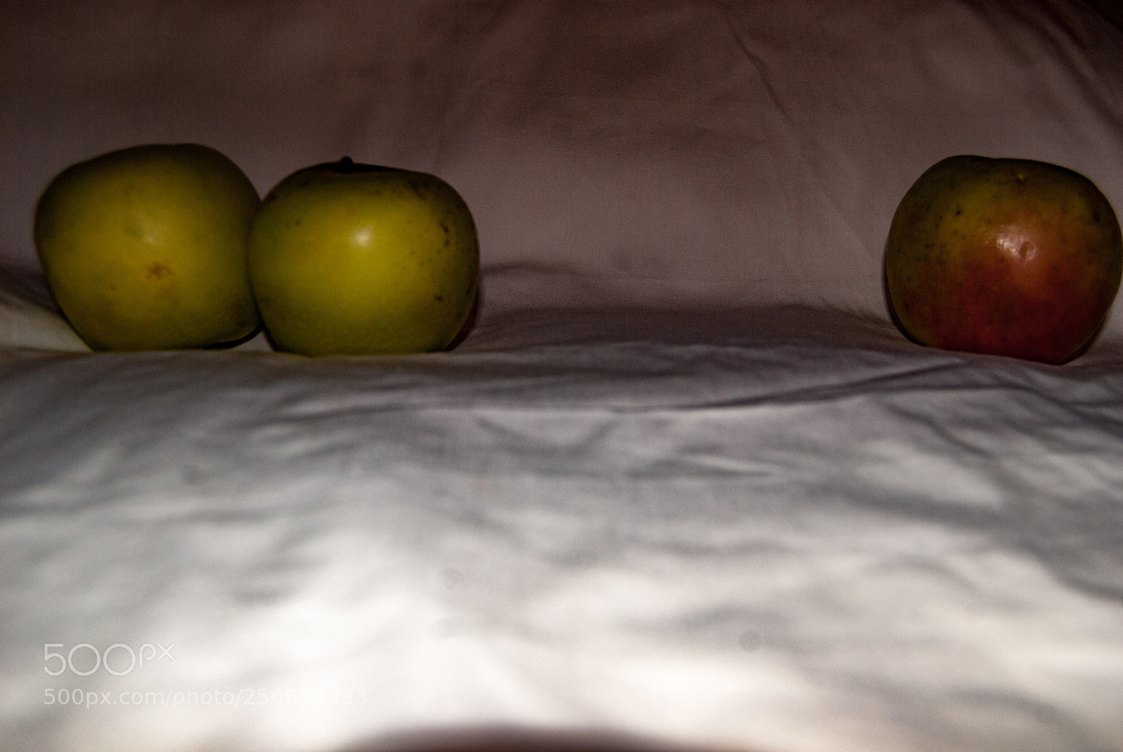 Nikon D40X sample photo. Discrimination photography