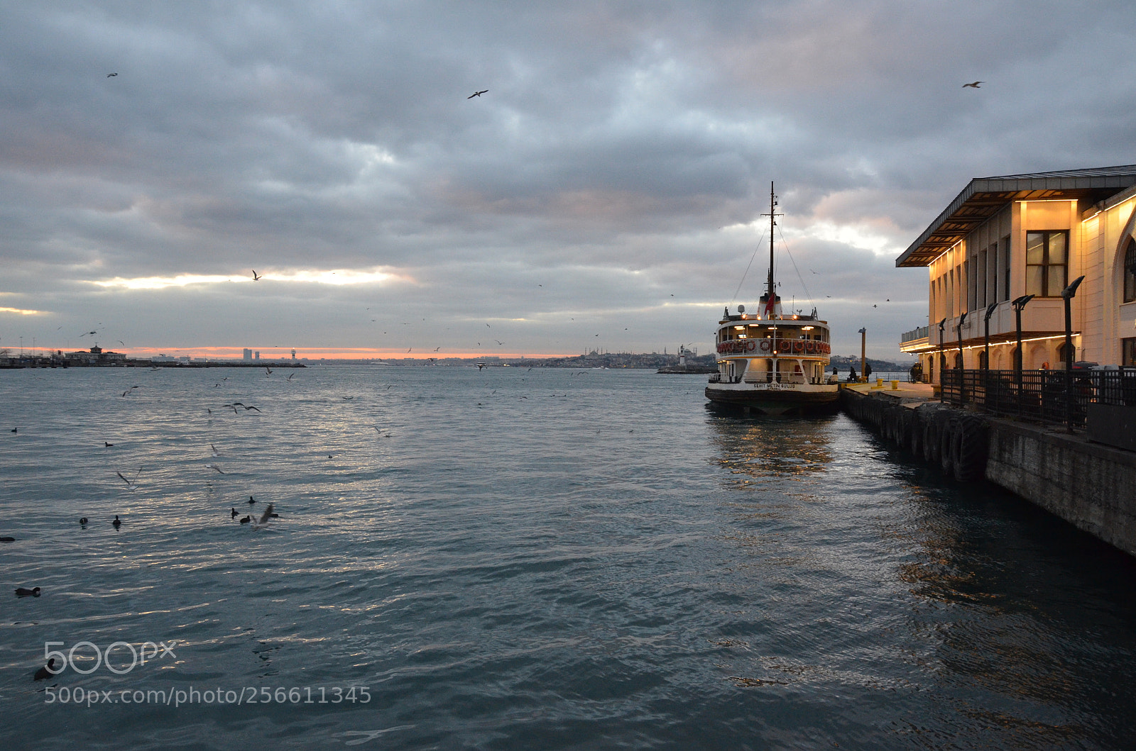 Nikon D7000 sample photo. When the ship is photography