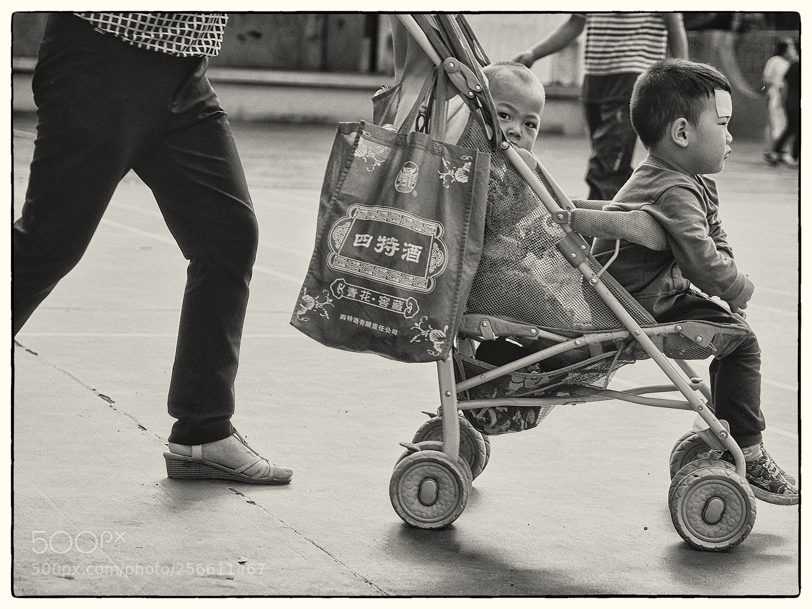 Olympus OM-D E-M5 sample photo. Eye-contact photography